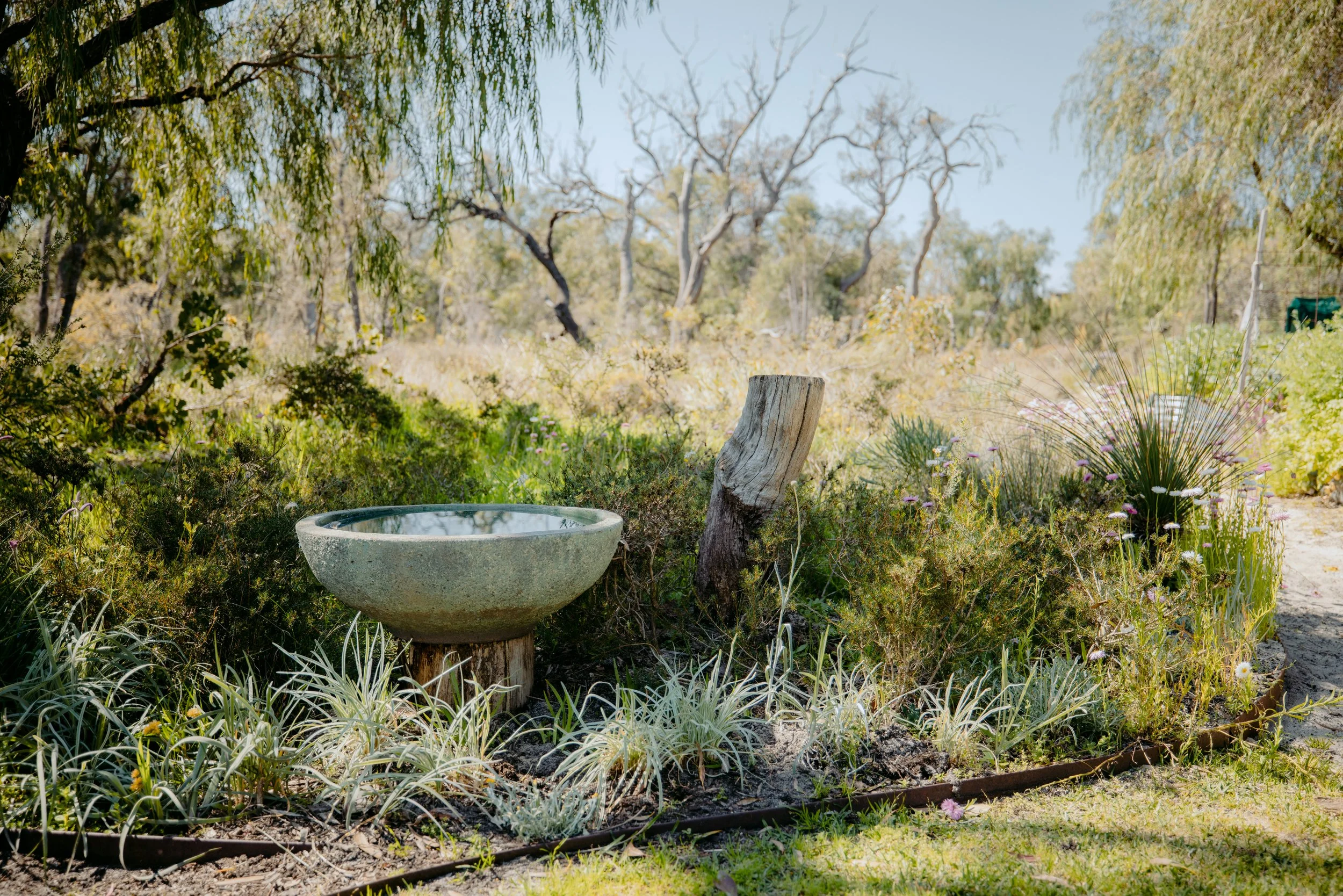 BiancaKatePhotography_KA_Garden_2024-028.jpg