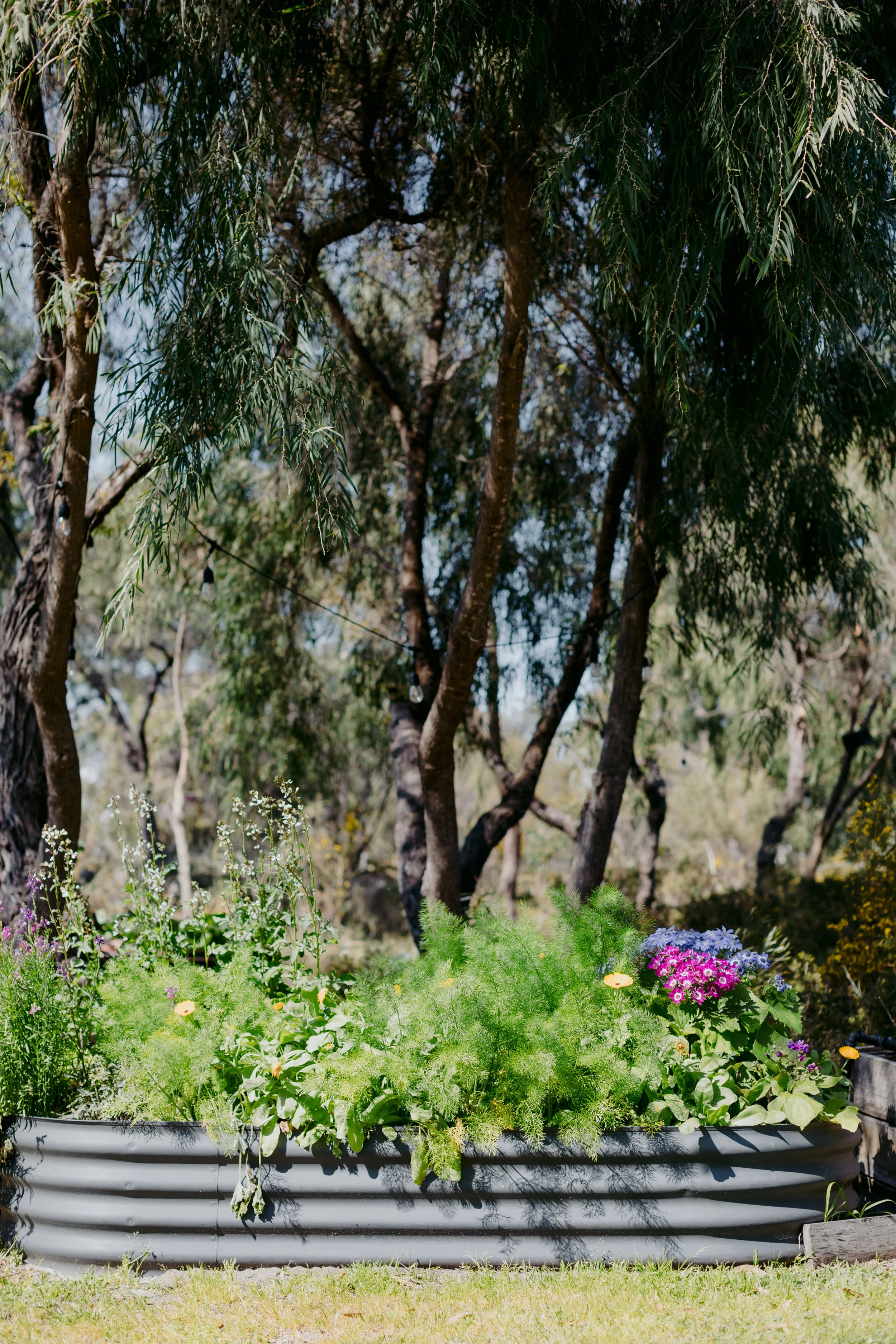 BiancaKatePhotography_KA_Garden_2024-008.jpg