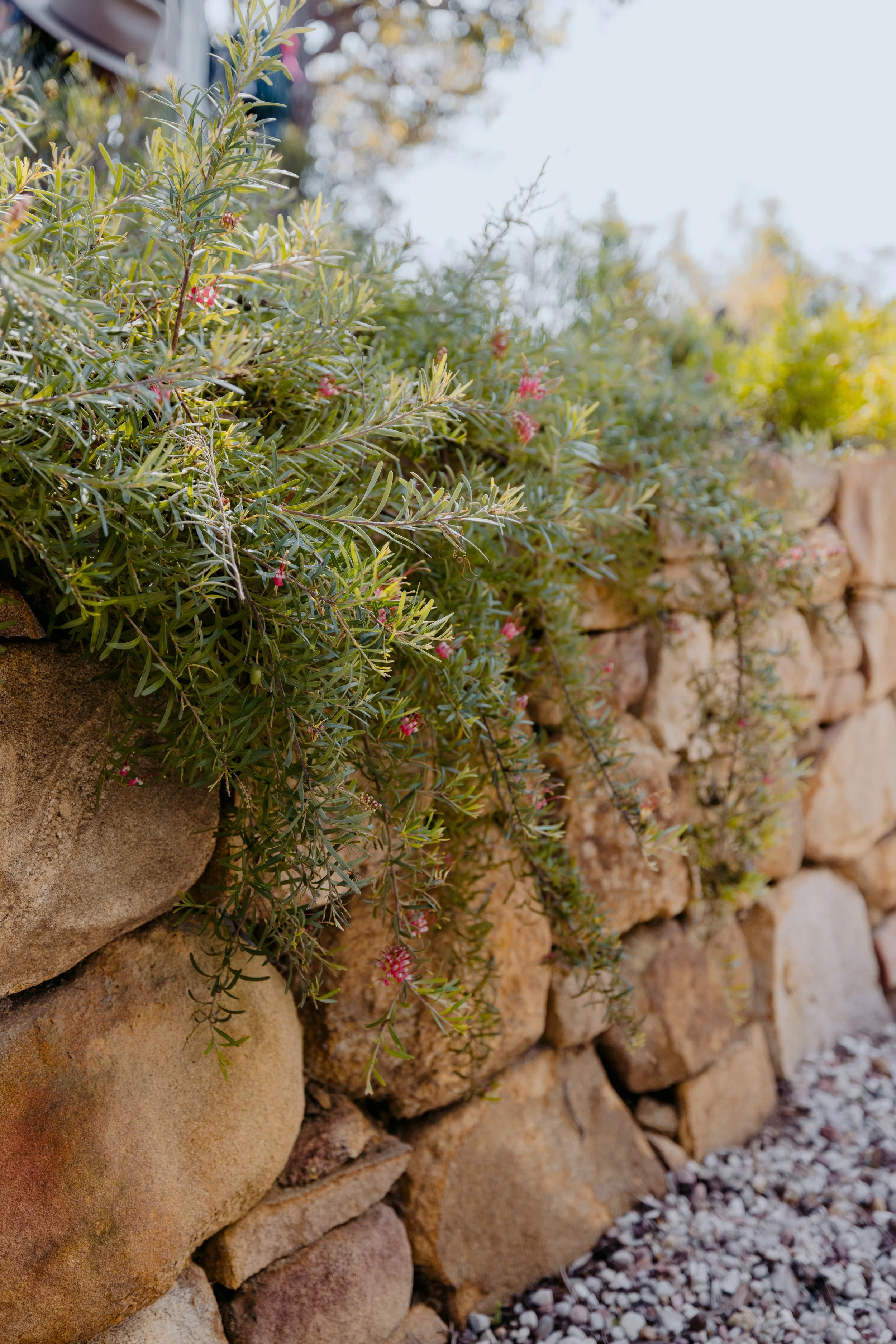 BiancaKatePhotography_KA_Garden_2024-086.jpg