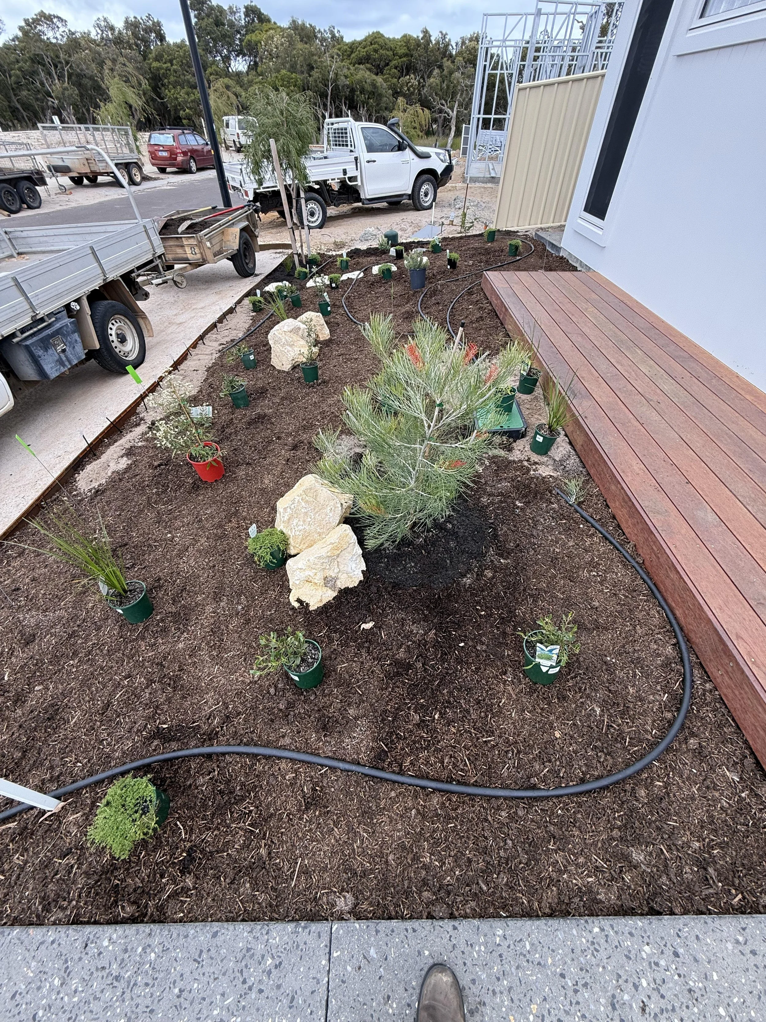 Native garden with plants and natural stone