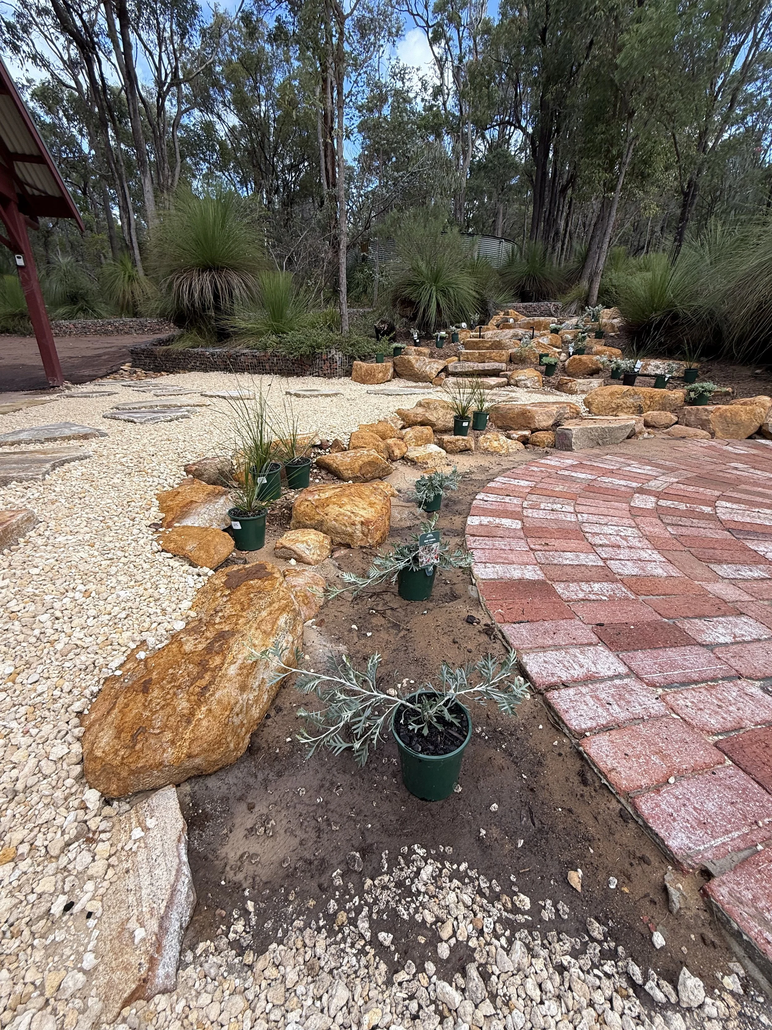 Crushed limestone mulch surrounds new, native plantings on a bush block