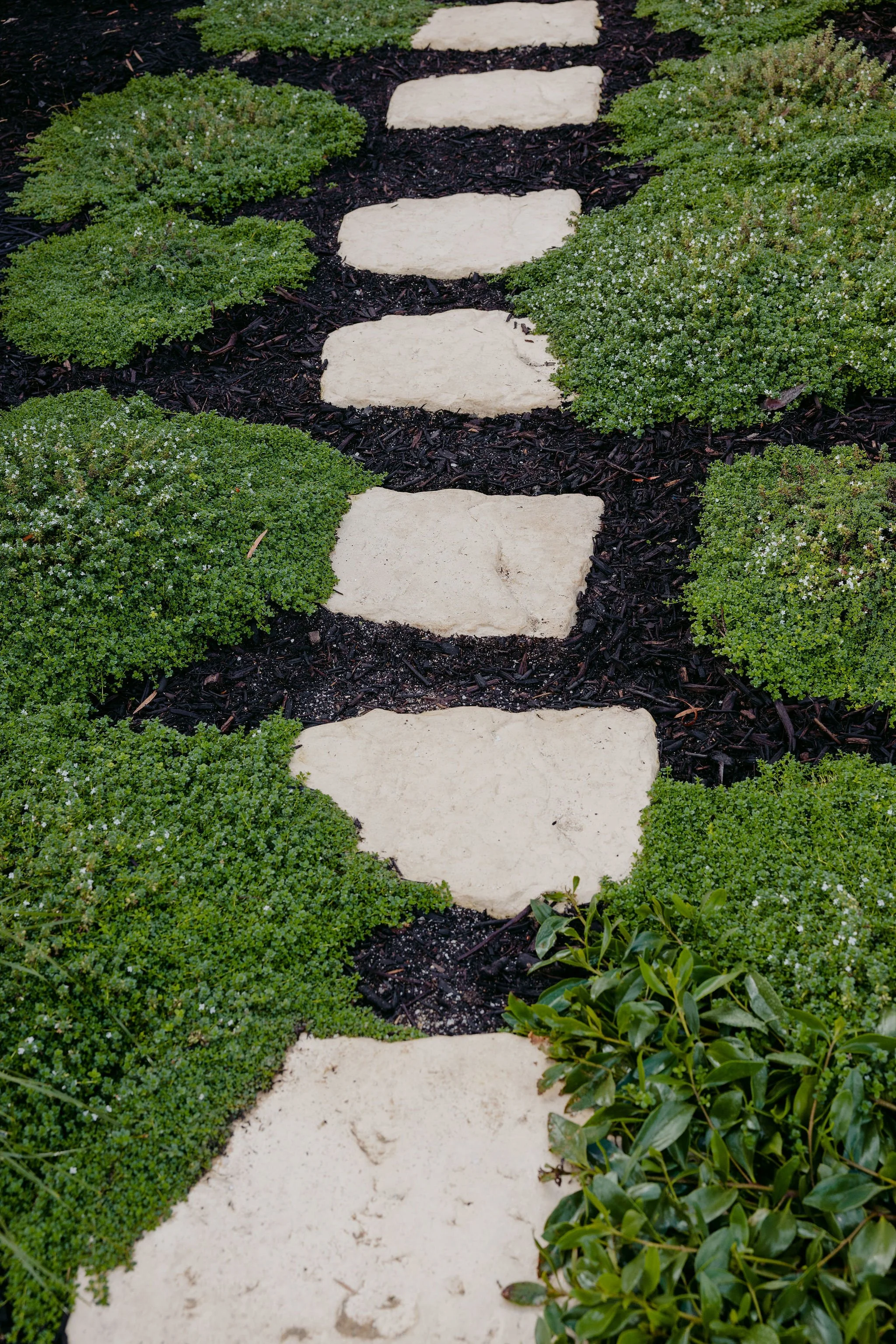 BiancaKatePhotography_BlaxBuilders_Growscape_April_2026-9.jpg