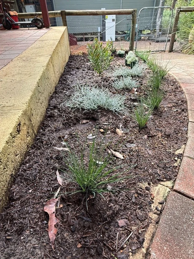 Yals_planting (2).jpg