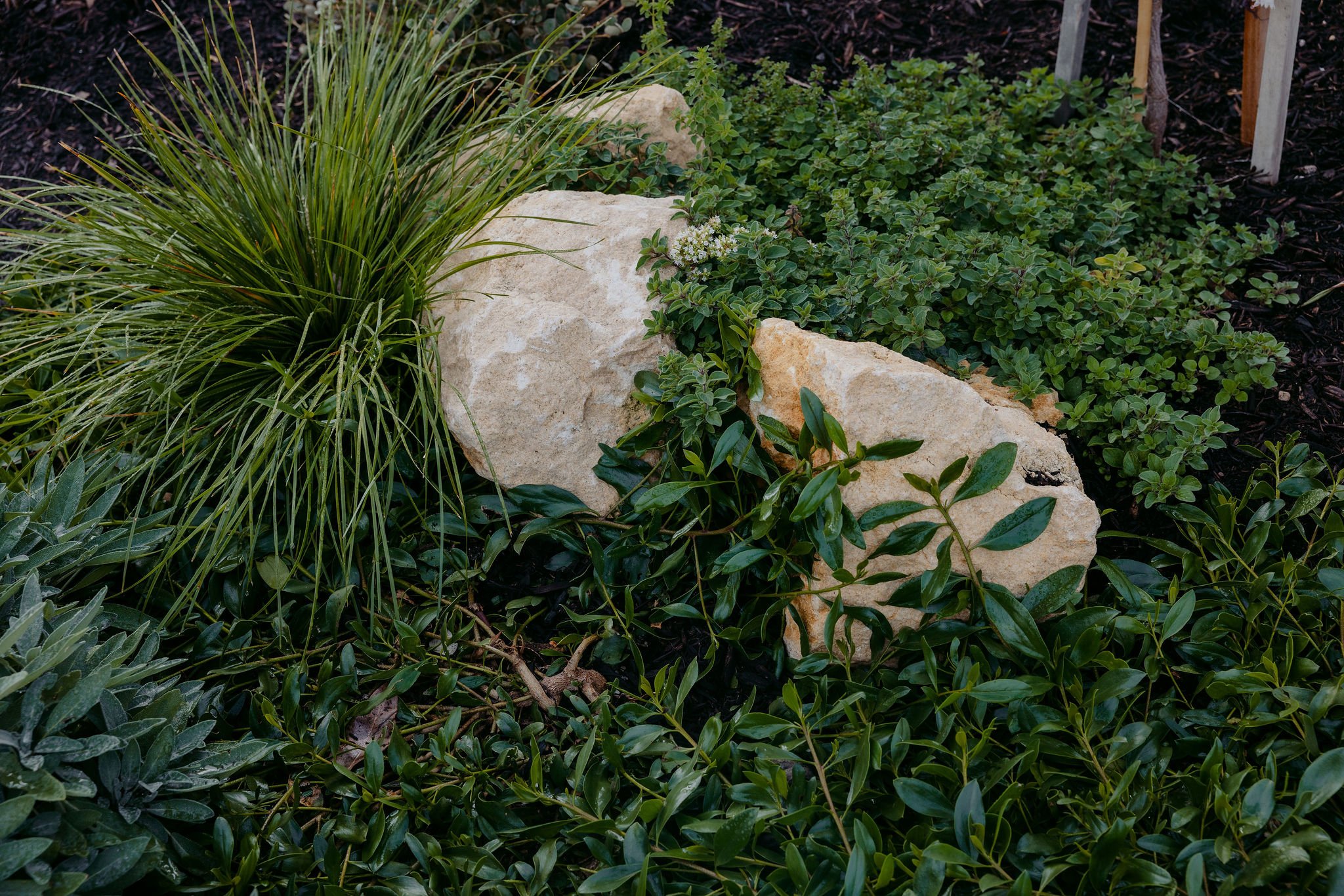 BiancaKatePhotography_BlaxBuilders_Growscape_April_2026-81.jpg