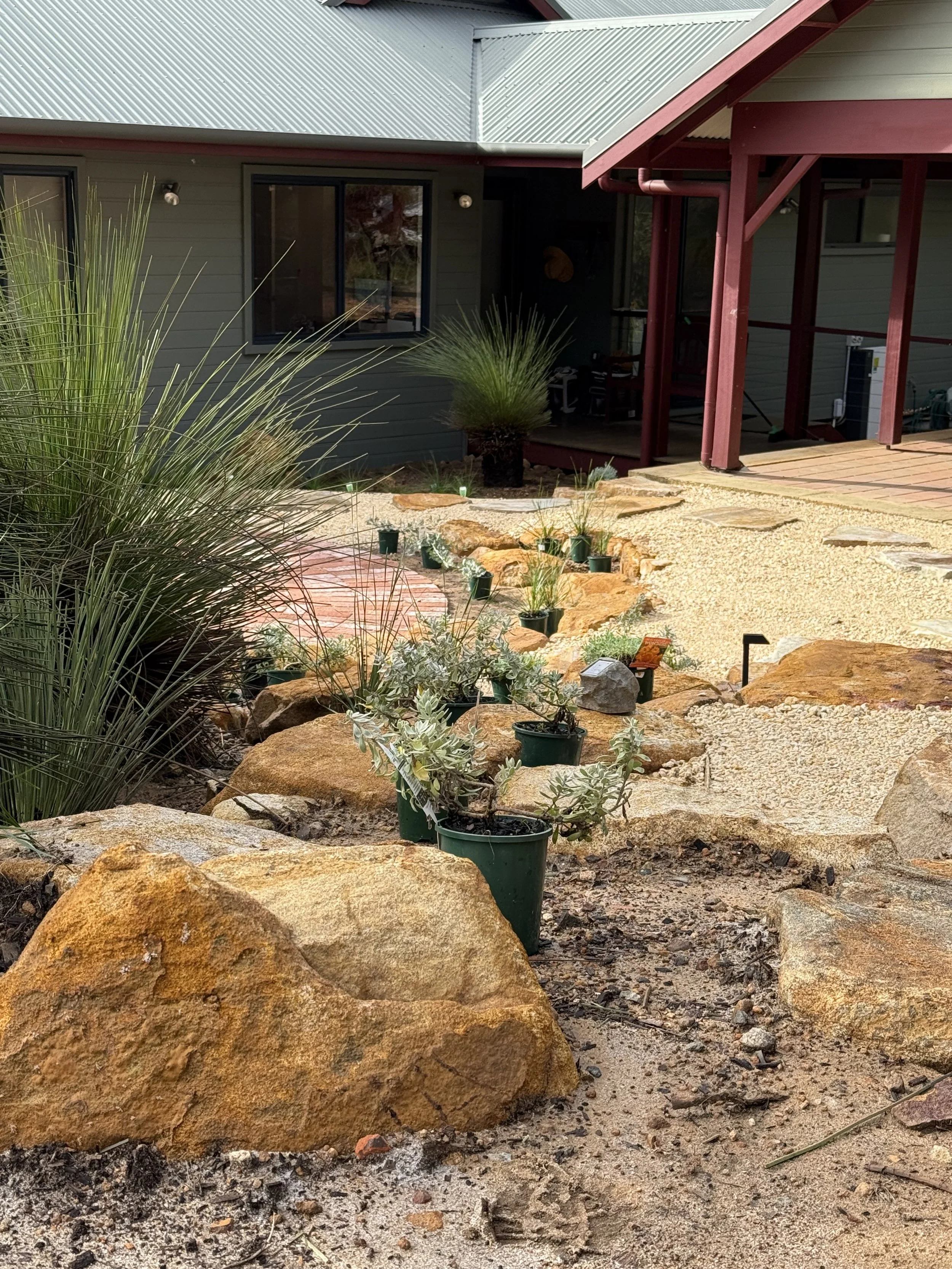 New plants create a soft border between a bricked outdoor area and crushed gravel path