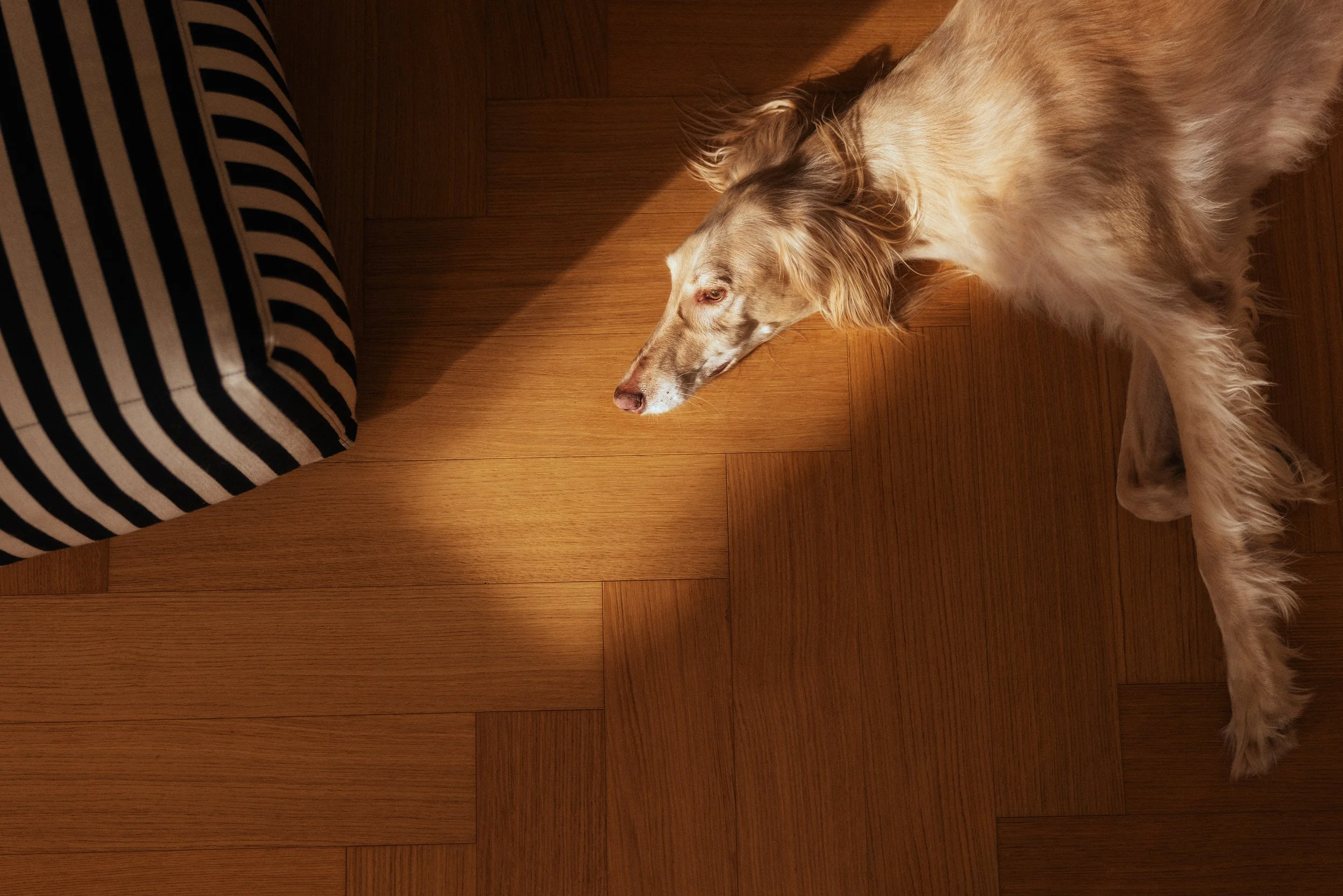 Lumo_2379_Final_Lowres.jpg
