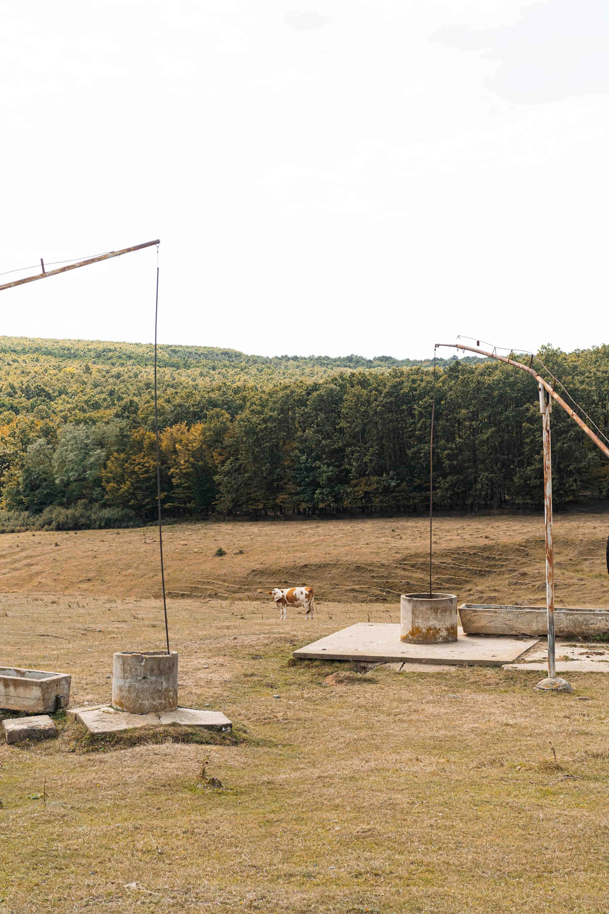 TPM-19.jpg