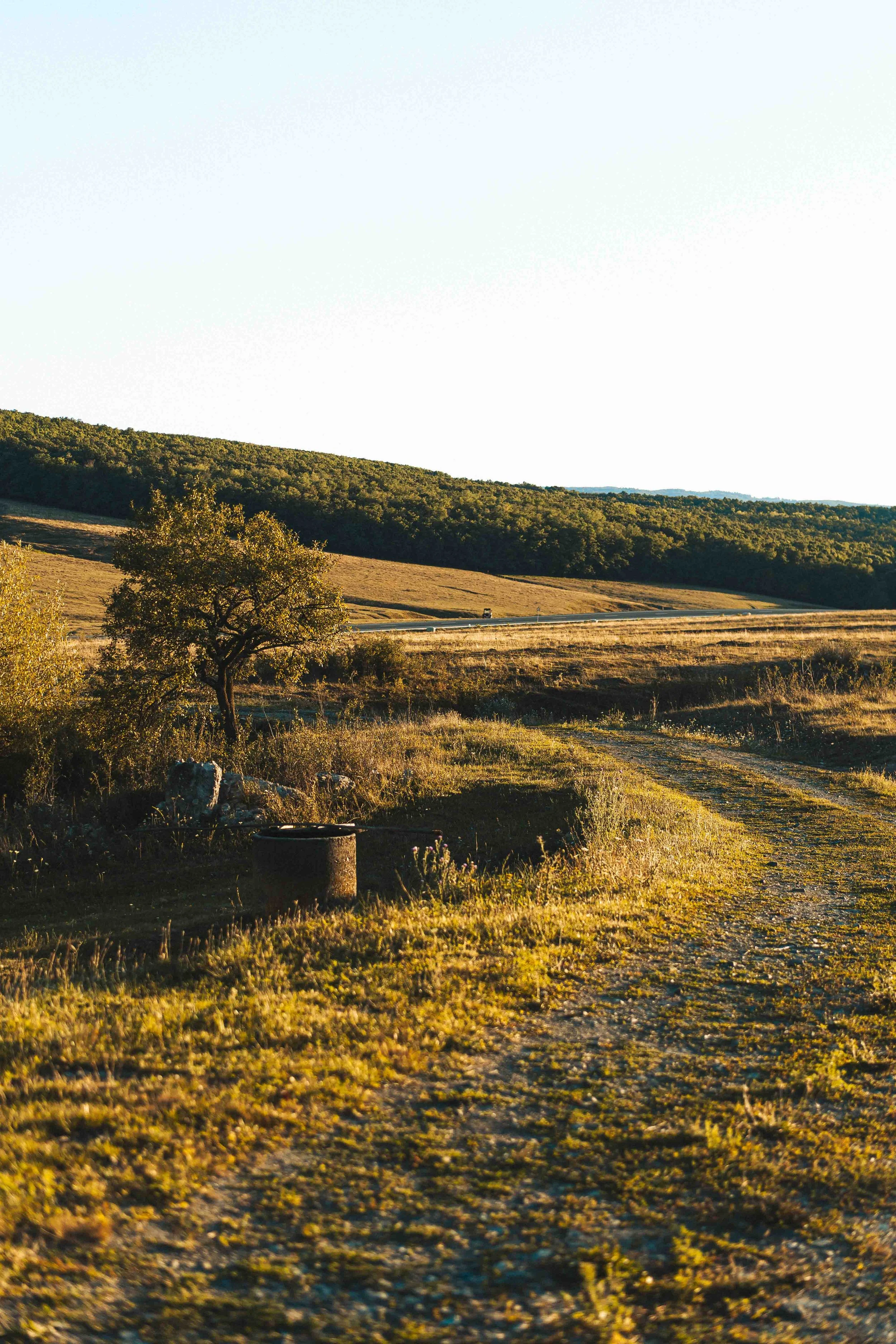 A rural dirt road winding through open fields with a tree and small objects near the side, green hills in the distance, under a clear sky.