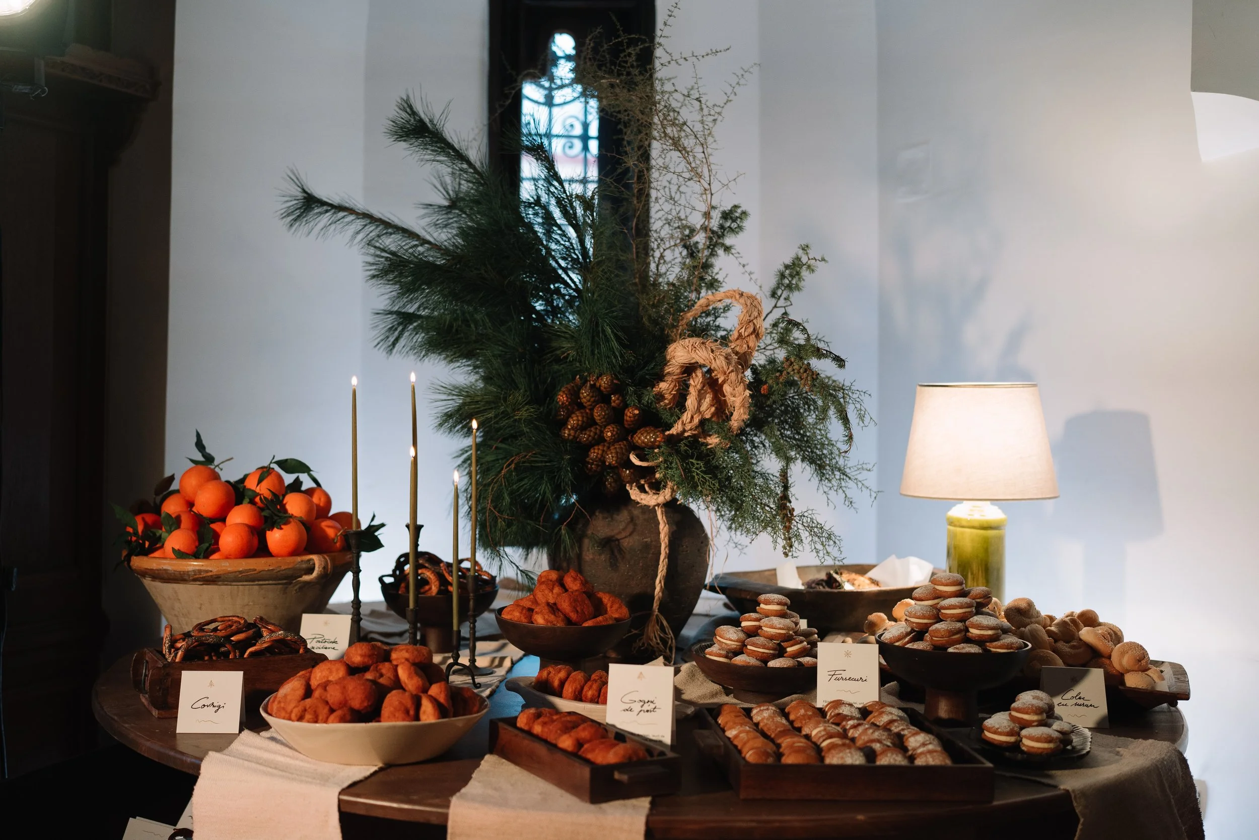 Casa Vintila Bratianu & Zof_Deersphotos-27.jpg