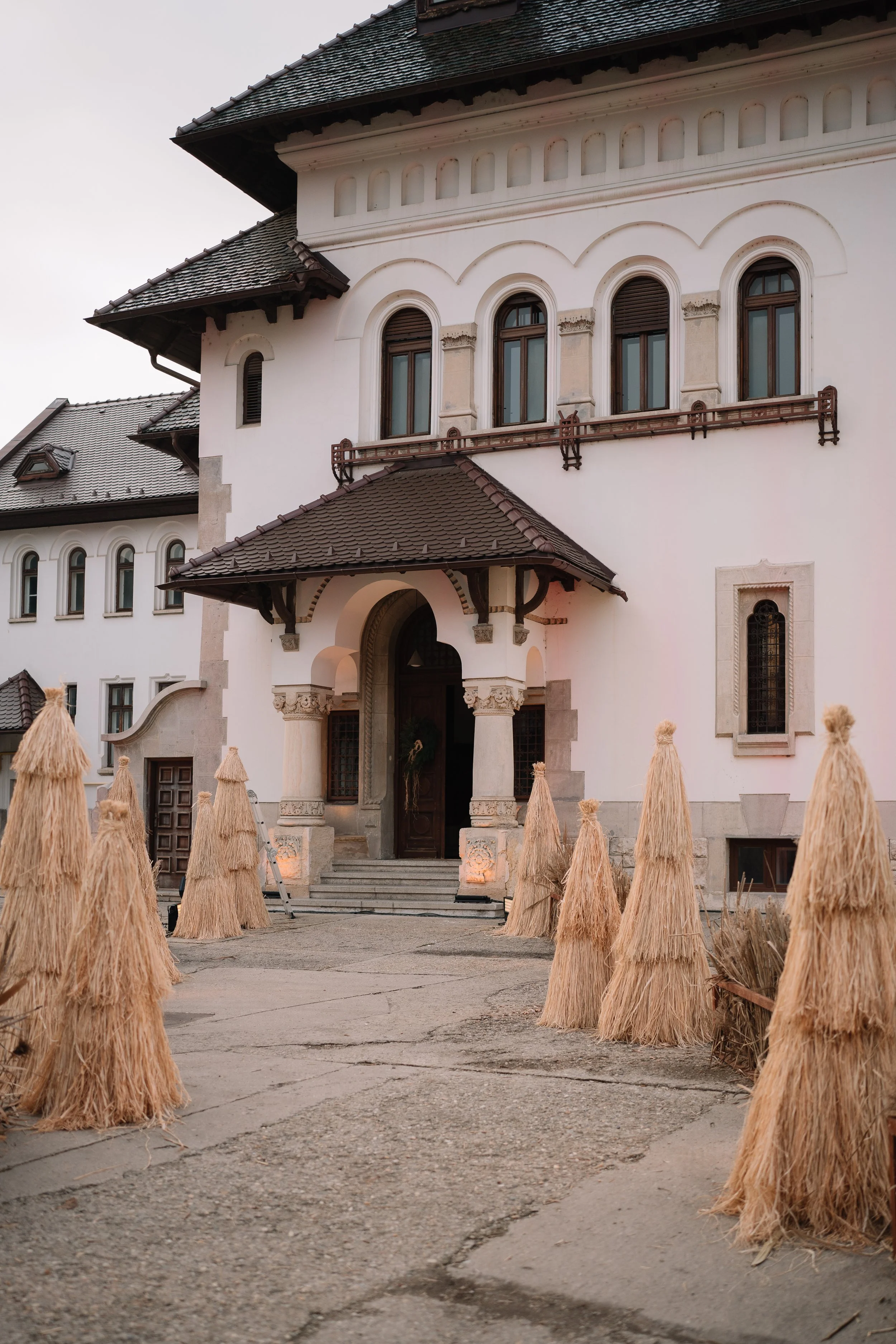 Casa Vintila Bratianu & Zof_Deersphotos-20.jpg