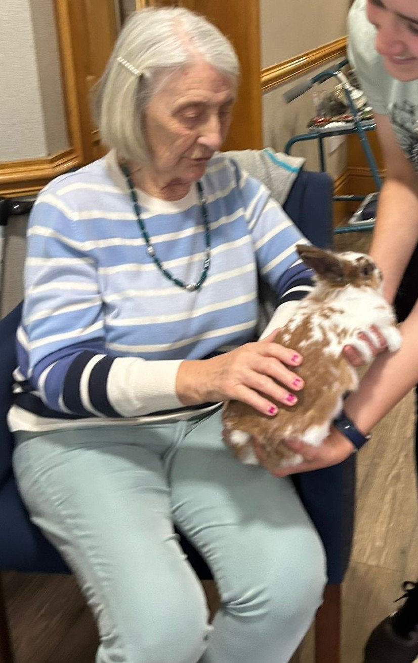 pet therapy (28) 2.jpg