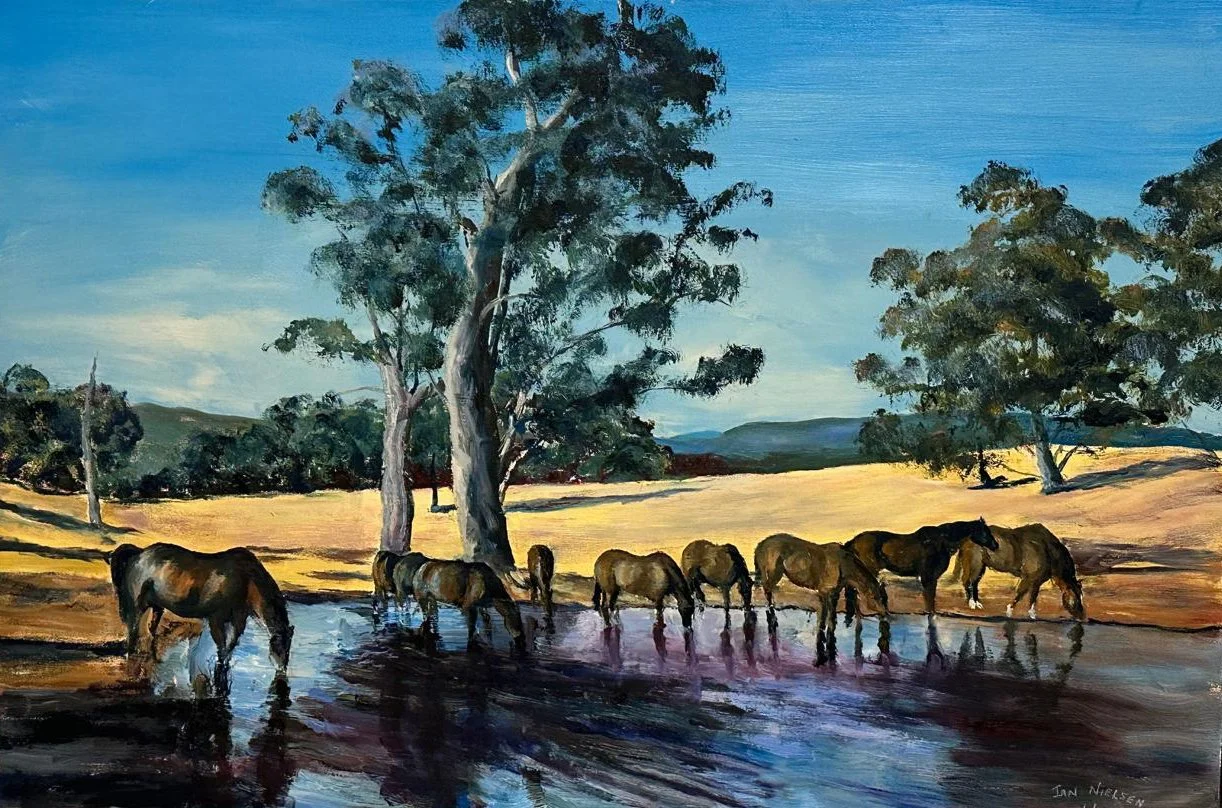 Wee_Jasper_Evening_On_The_Dam_Ian_Nielsen.jpeg
