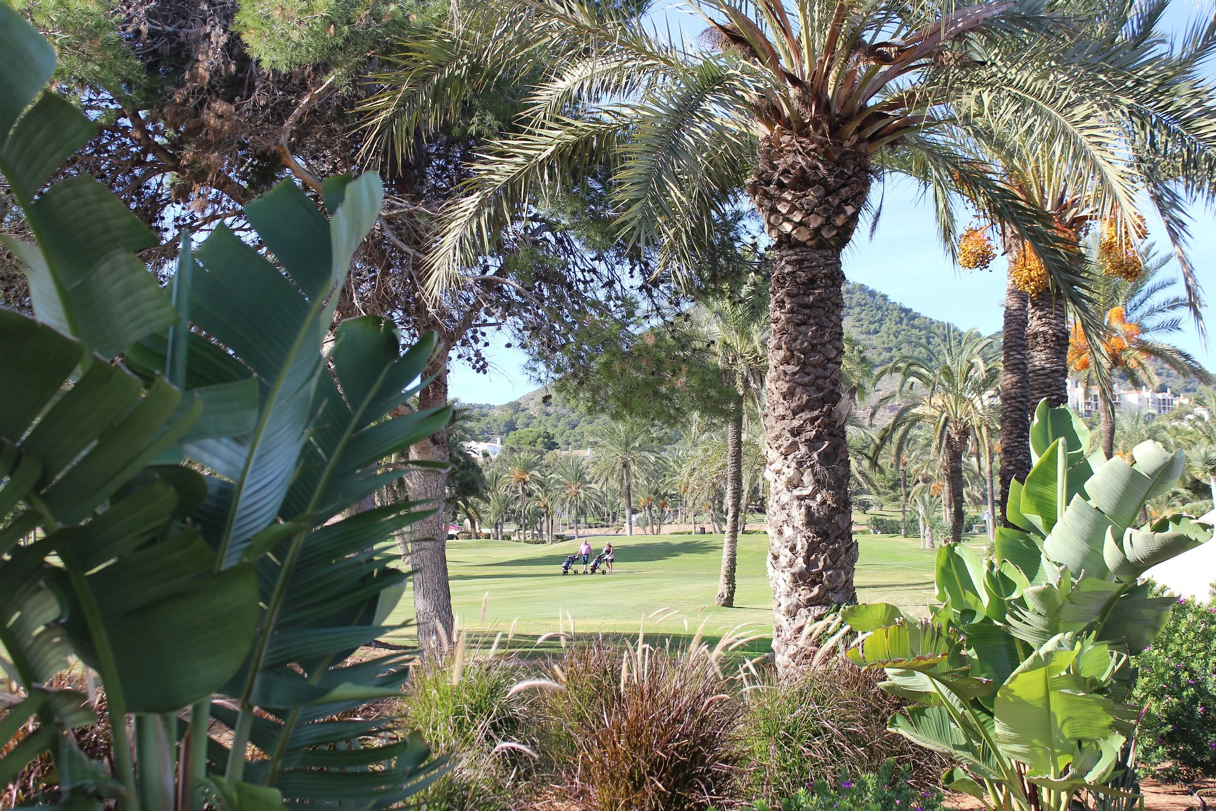 Copy of La-Manga-Club-view-palms.JPG