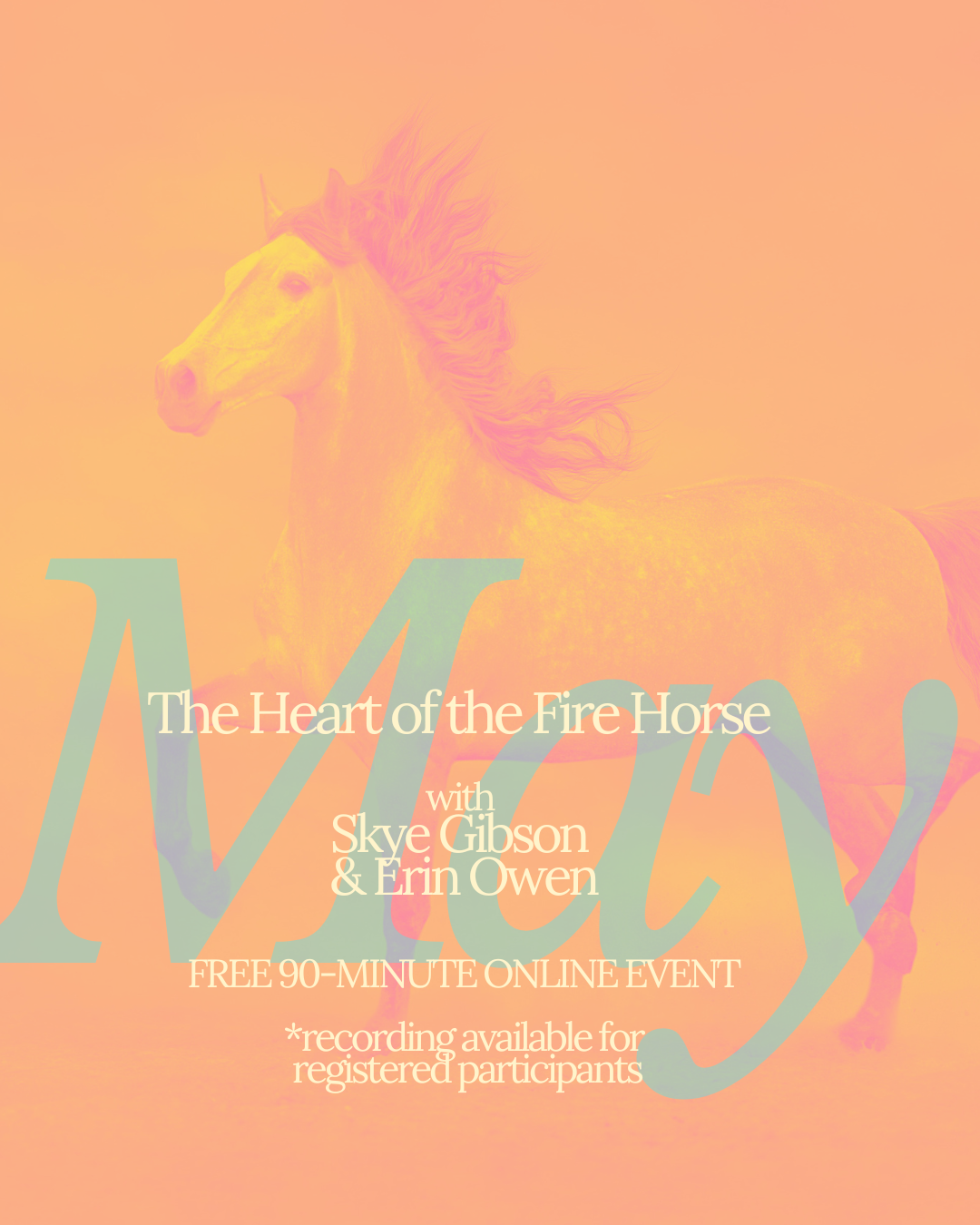 May Fire horse.png
