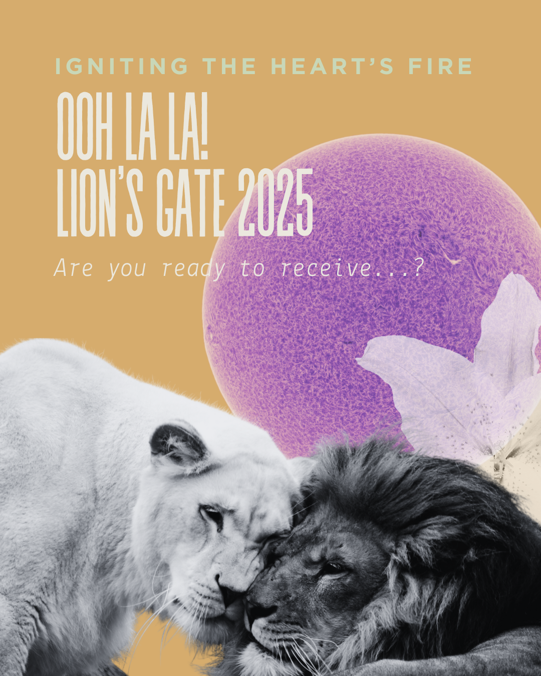 Lion’s Gate 2025 - Energy Activation