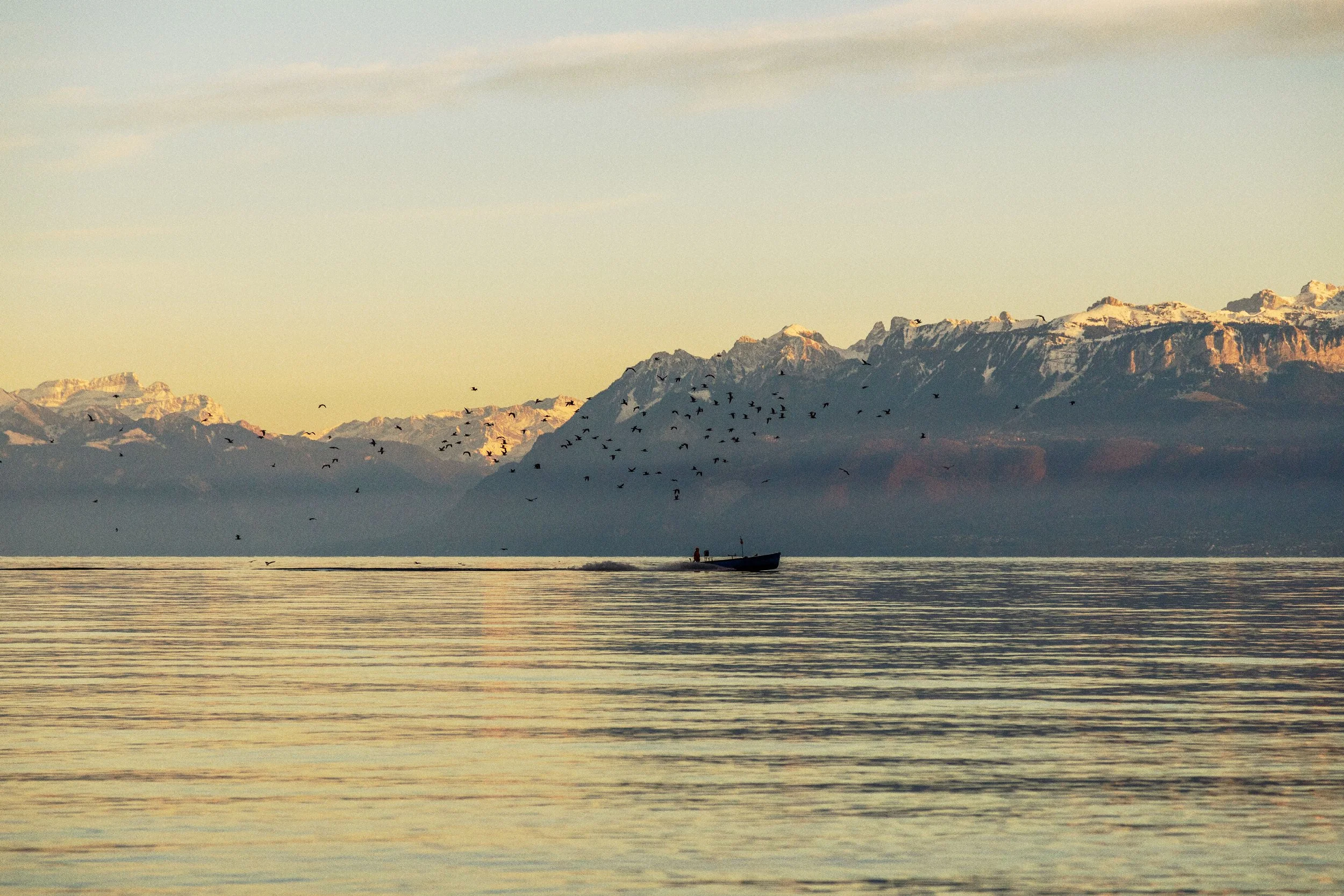 _MG_5202.jpg