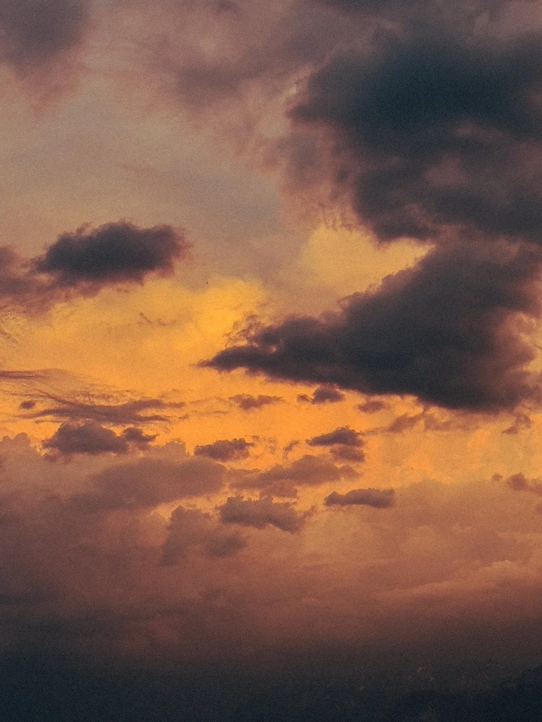 jjhj.jpg