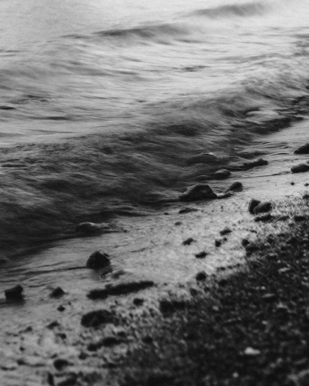 _MG_0059.jpg
