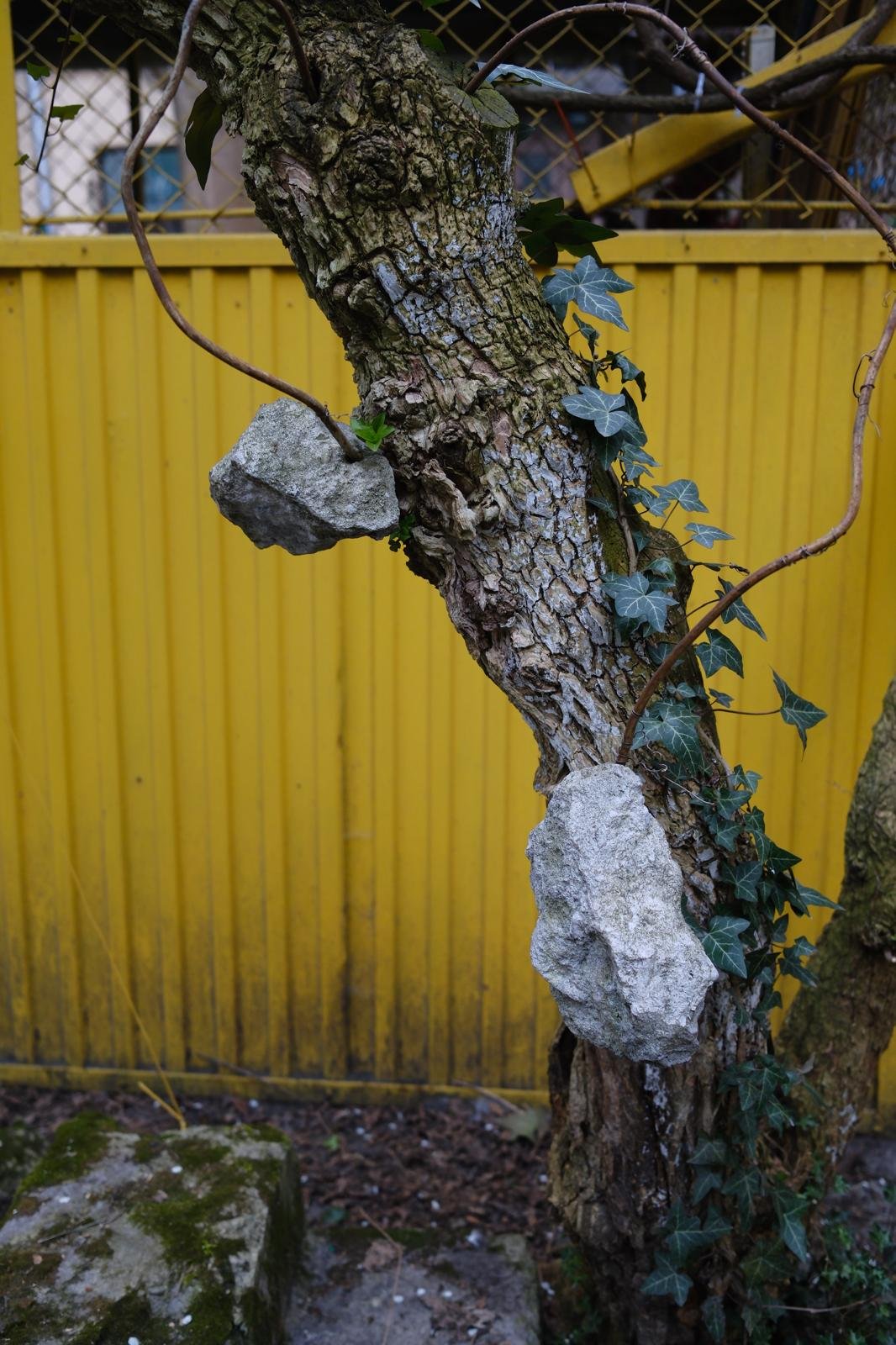 WhatsApp Image 2026-04-11 at 19.51.40.jpeg