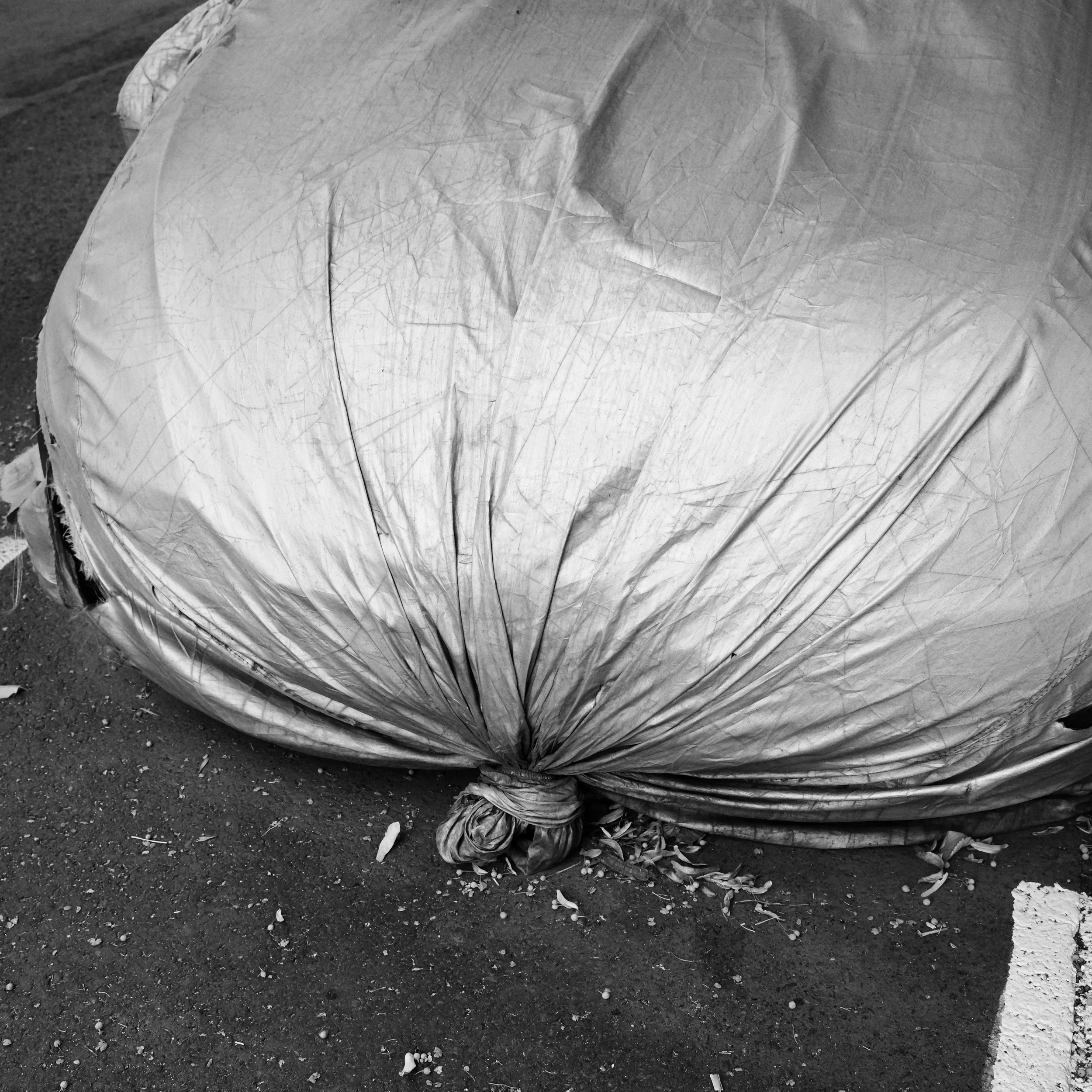 StrudelmediaLive feature