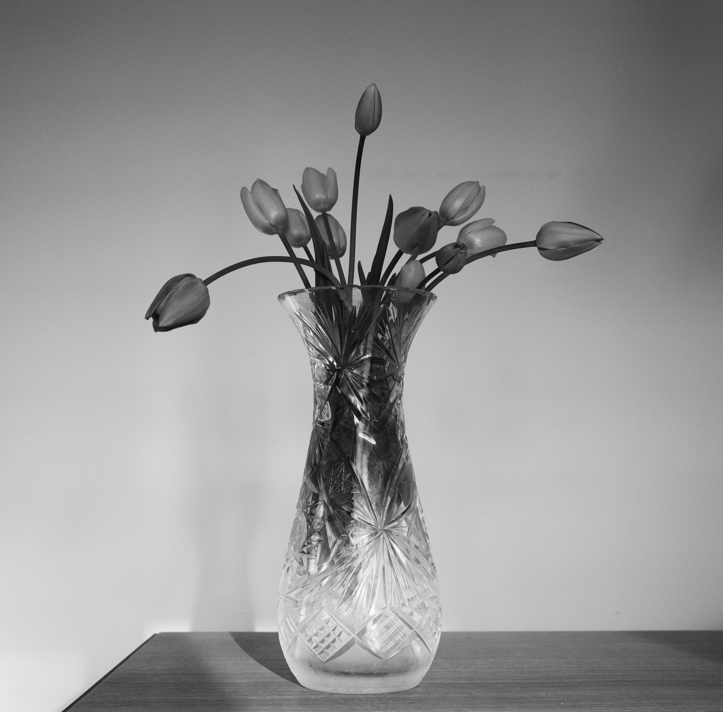 flowers.jpg
