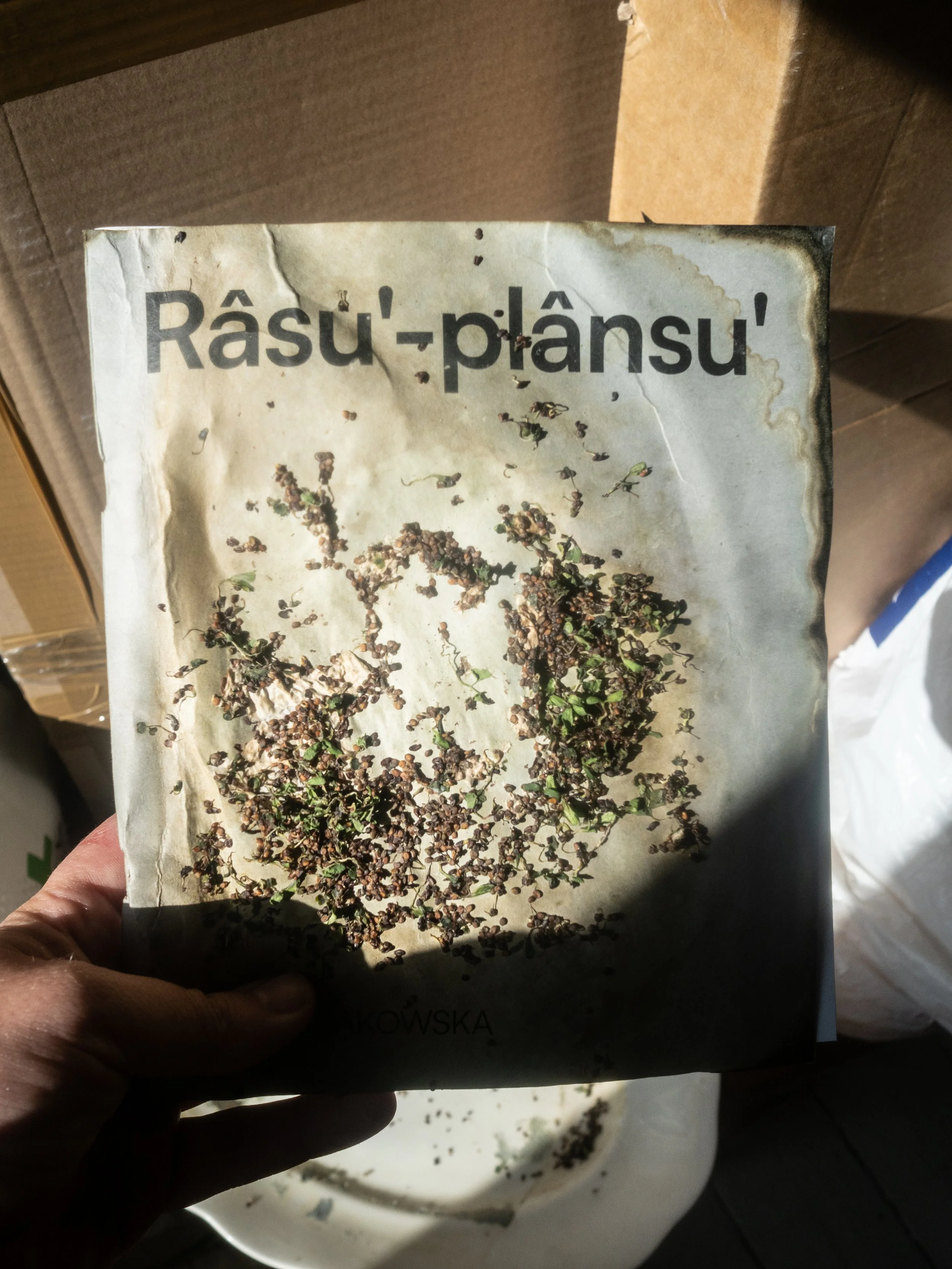 P1010357.jpg