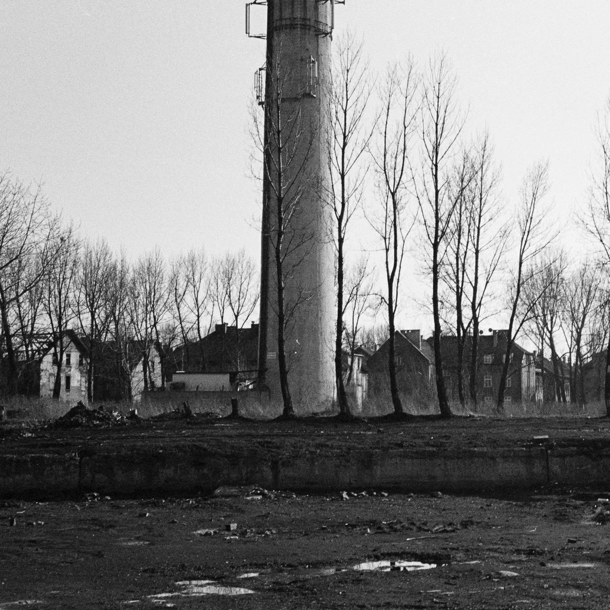 Horizons of What Remains