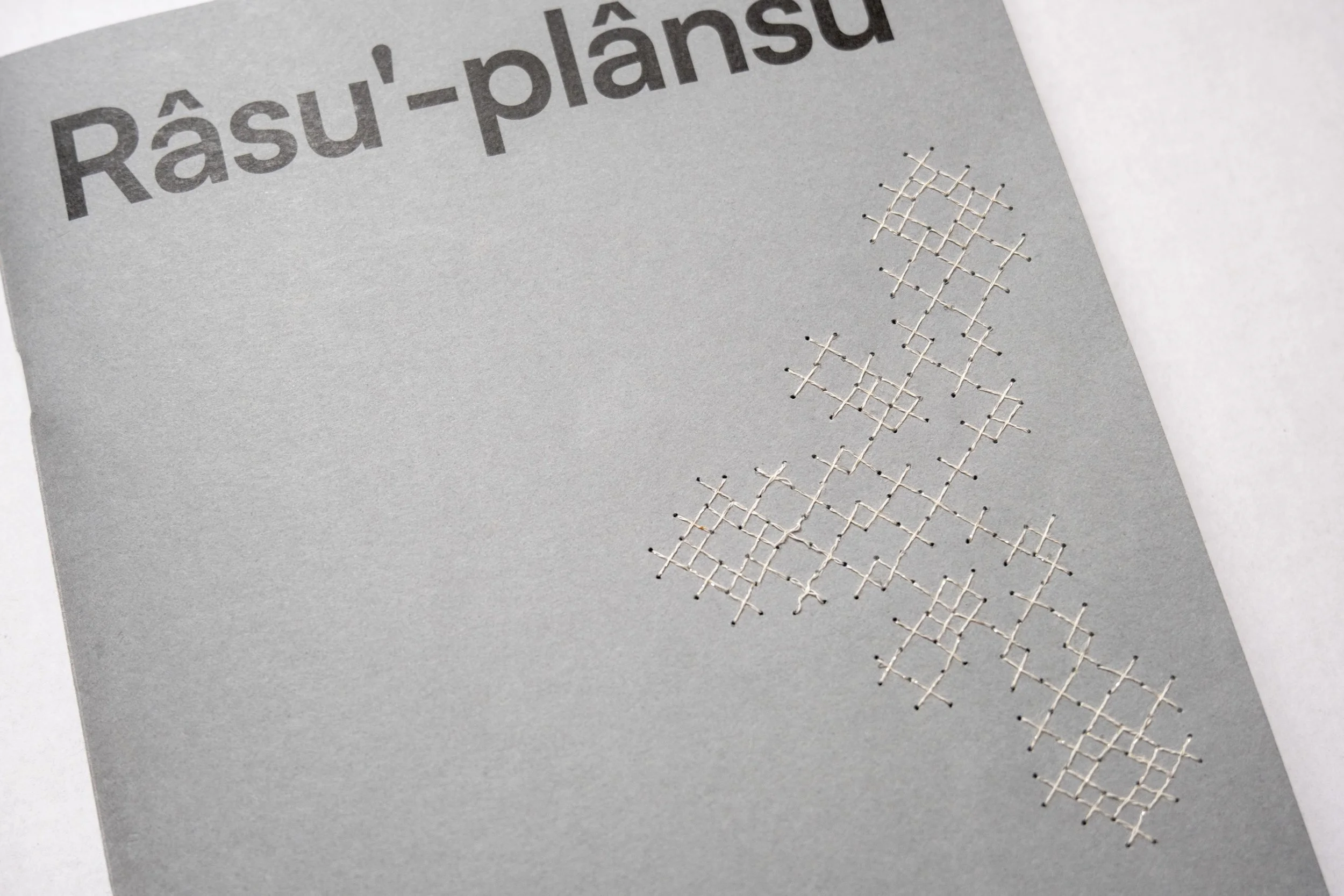 maryna_rasu-plansu_interventions-02.jpg