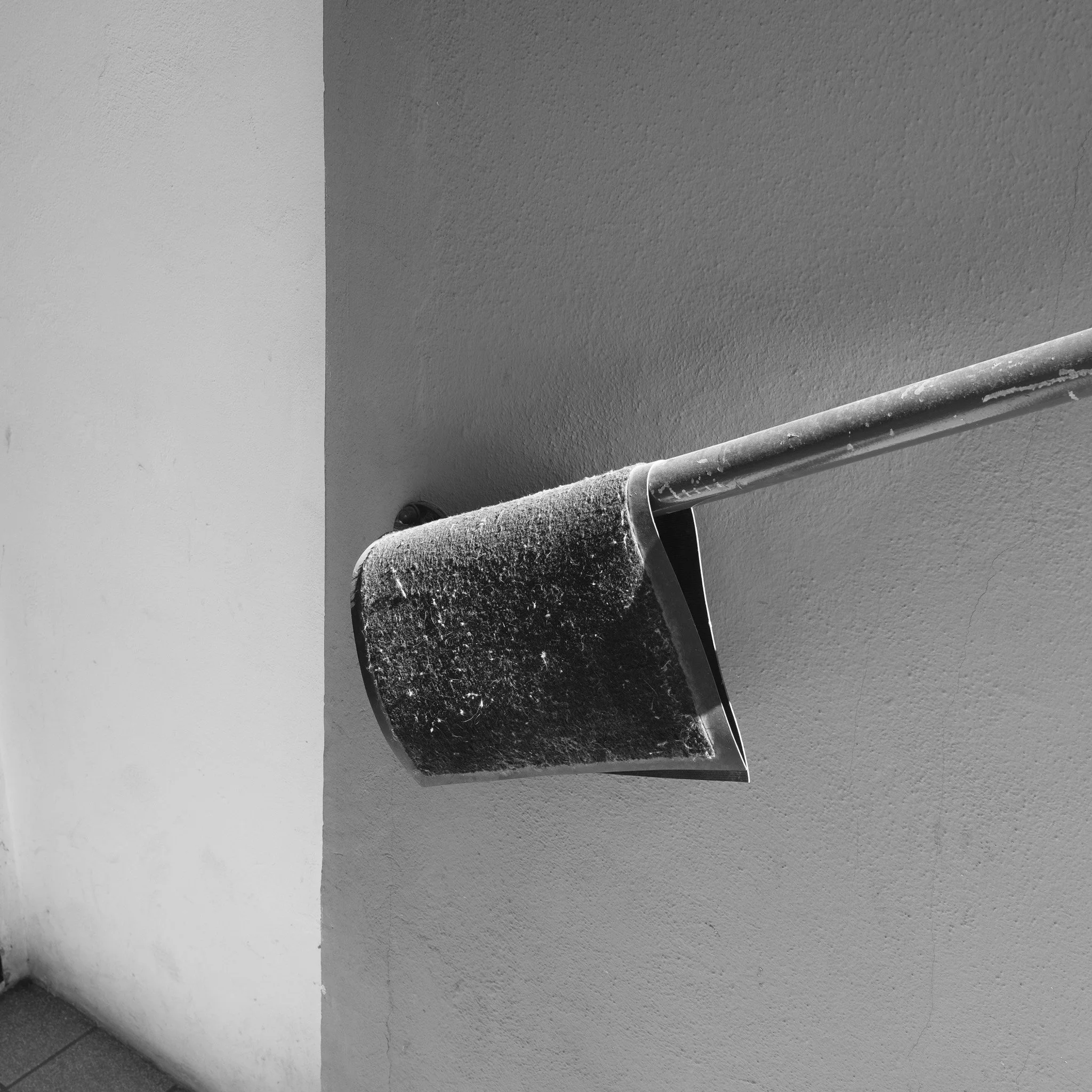 DSCF8495.jpg