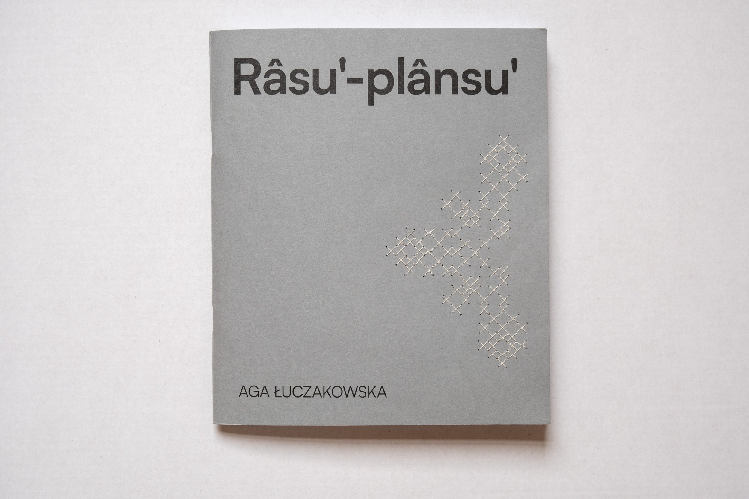 maryna_rasu-plansu_interventions-01.jpg