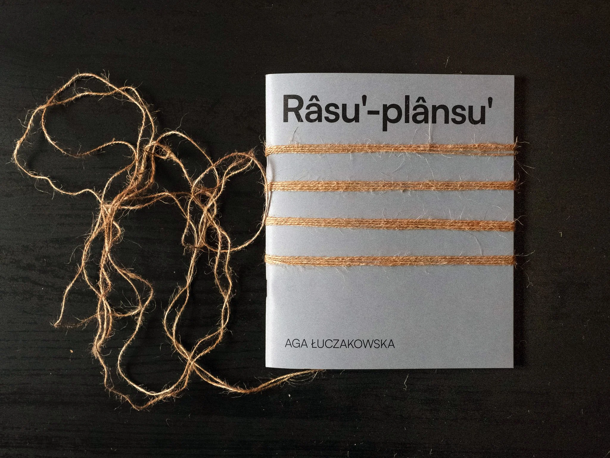 20260519_0002_Agas-book-intervention.jpg