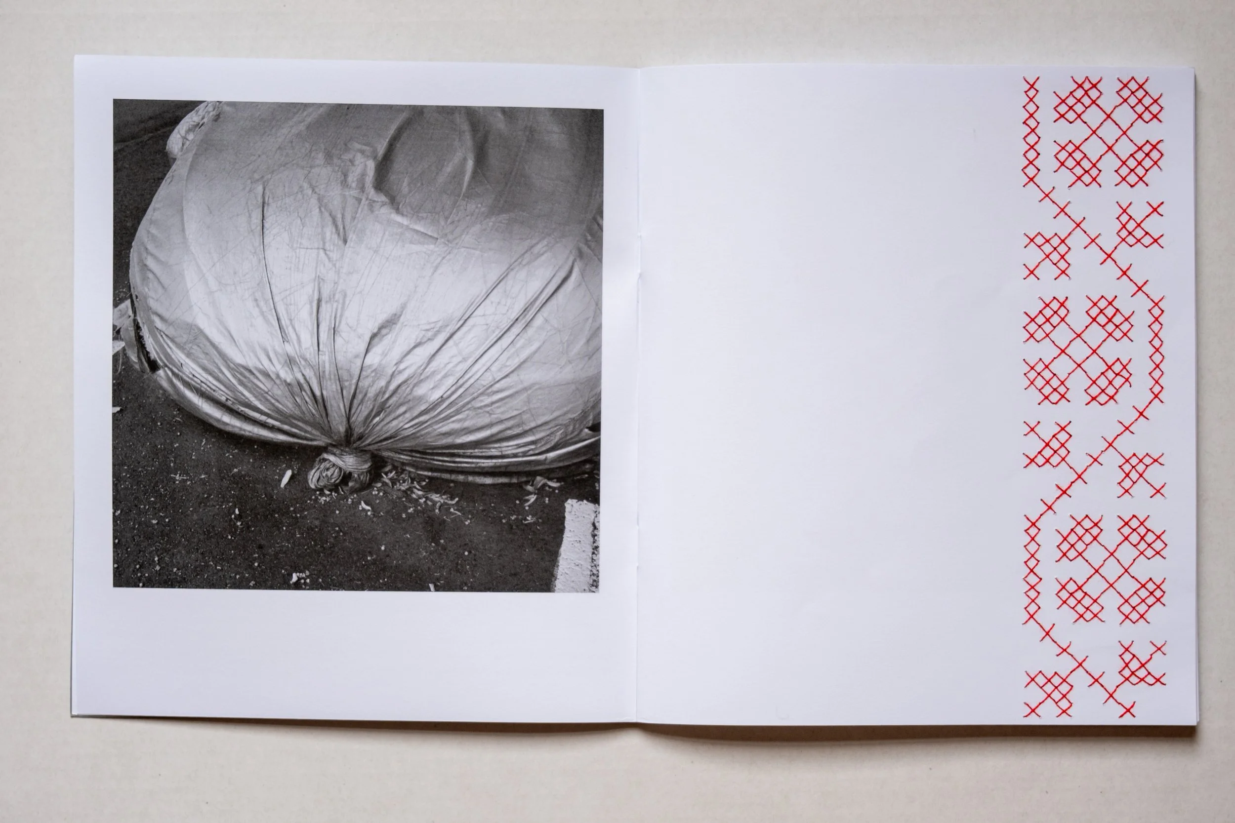maryna_rasu-plansu_interventions-04.jpg