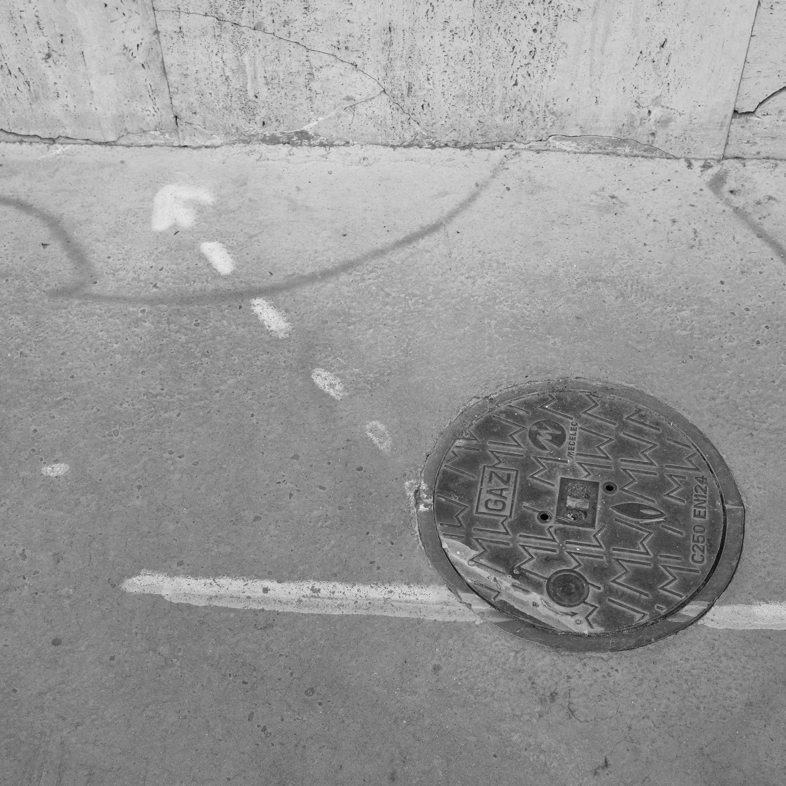 DSCF8988.jpg