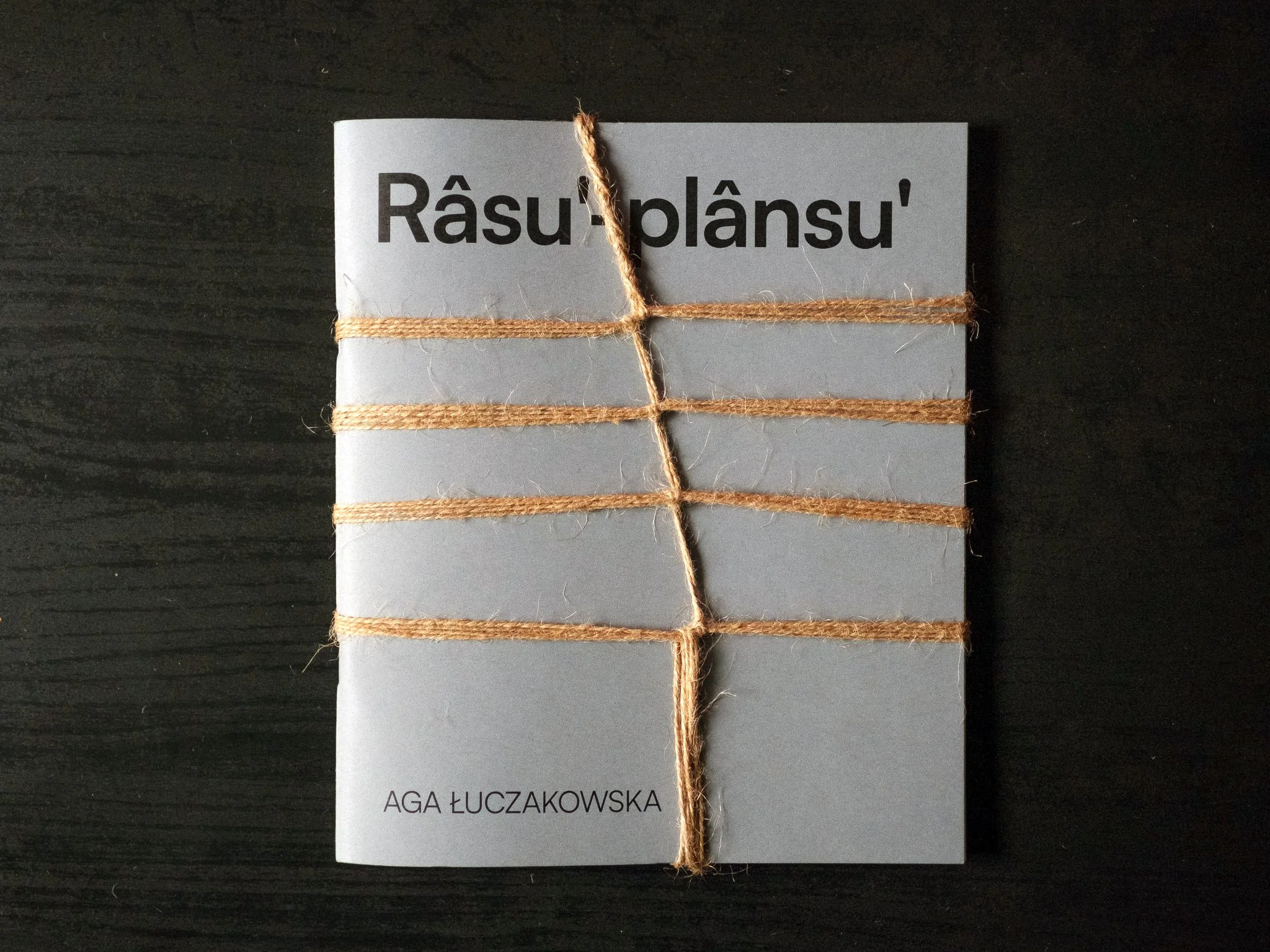20260519_0010_Agas-book-intervention.jpg