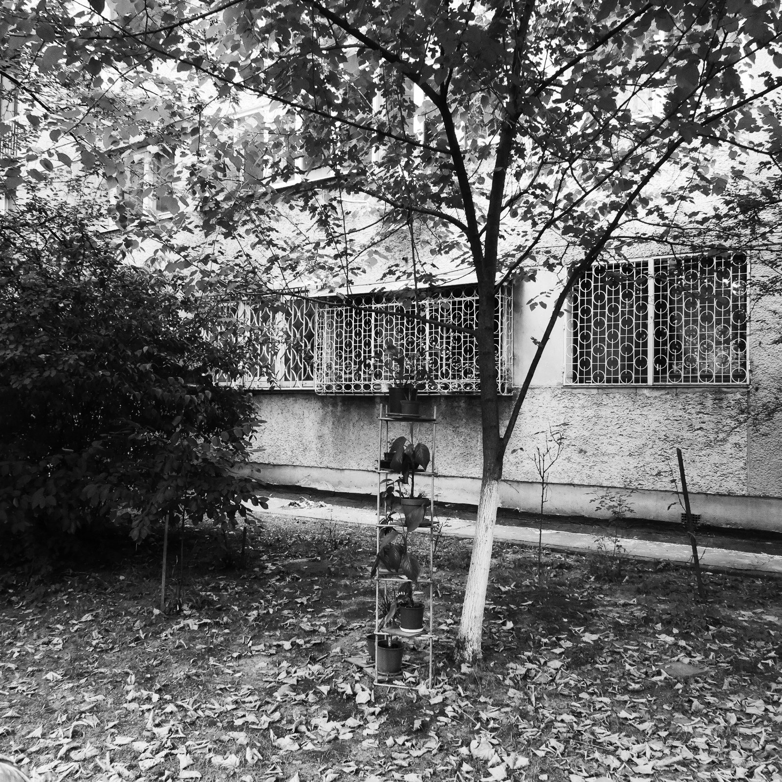 350753968_IMG_8703.jpg