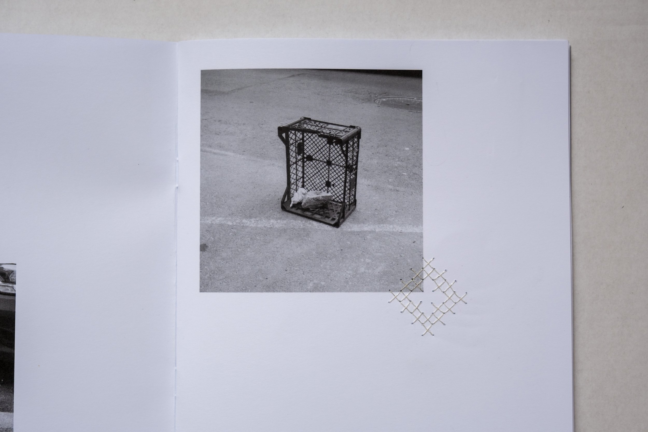 maryna_rasu-plansu_interventions-07.jpg