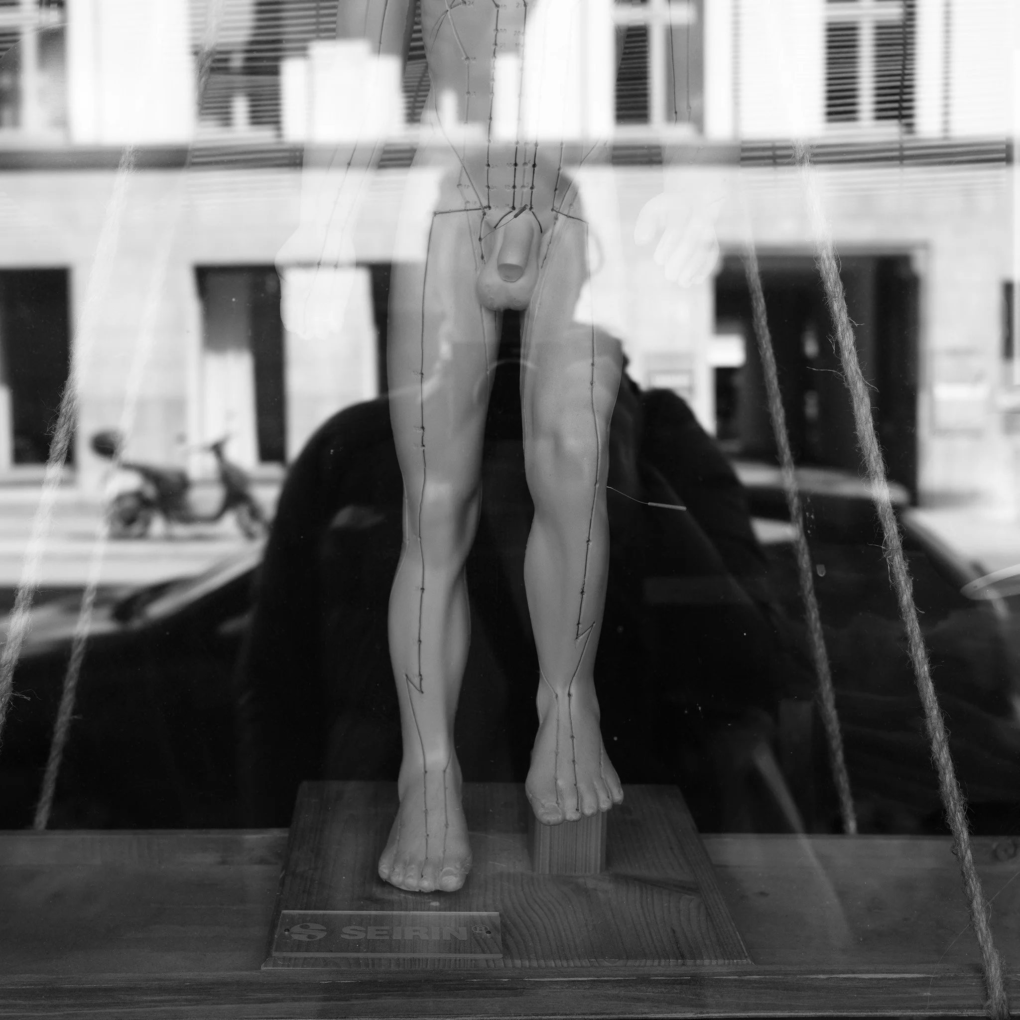 DSCF8525.jpg
