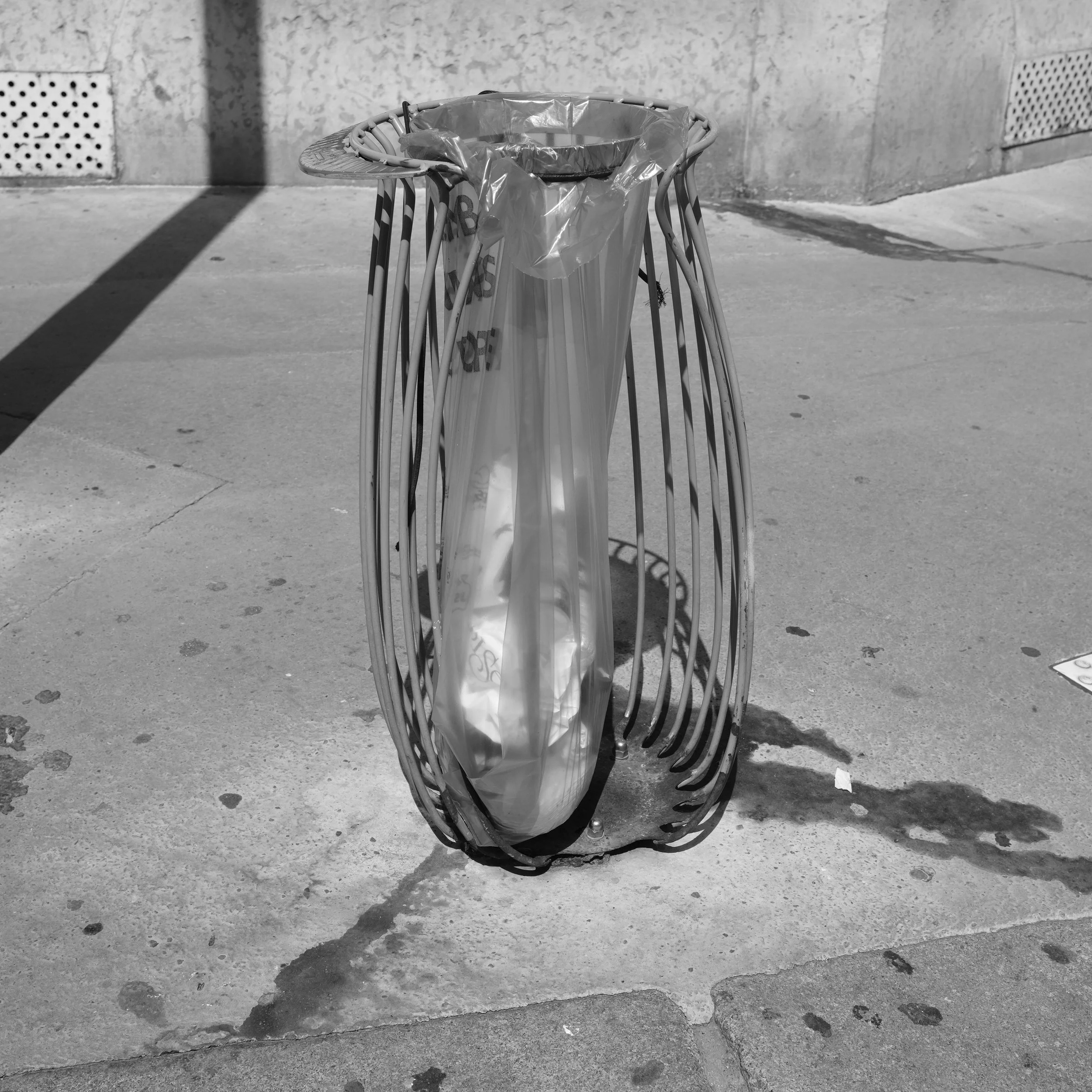 DSCF8855.jpg