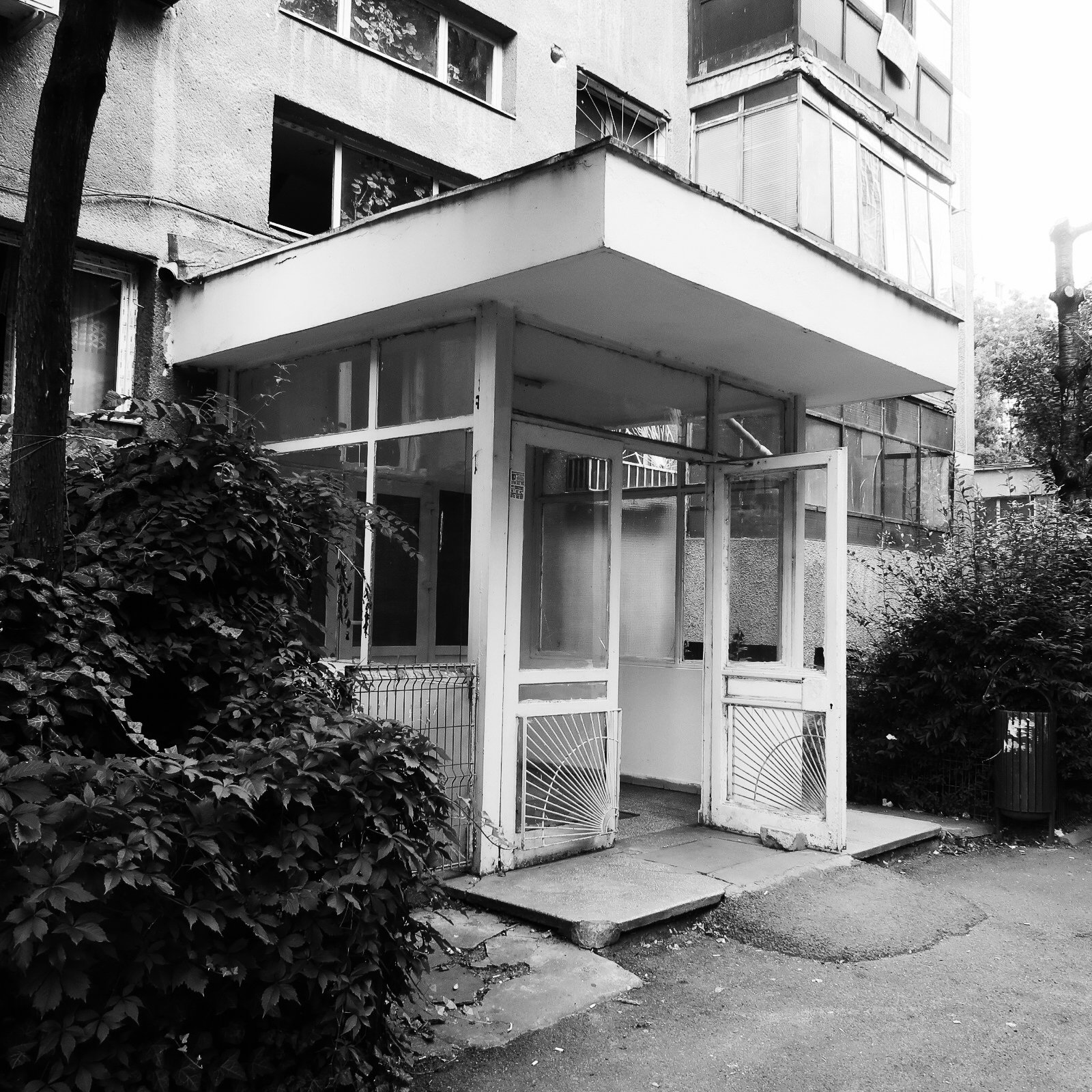 350753968_IMG_8684.jpg