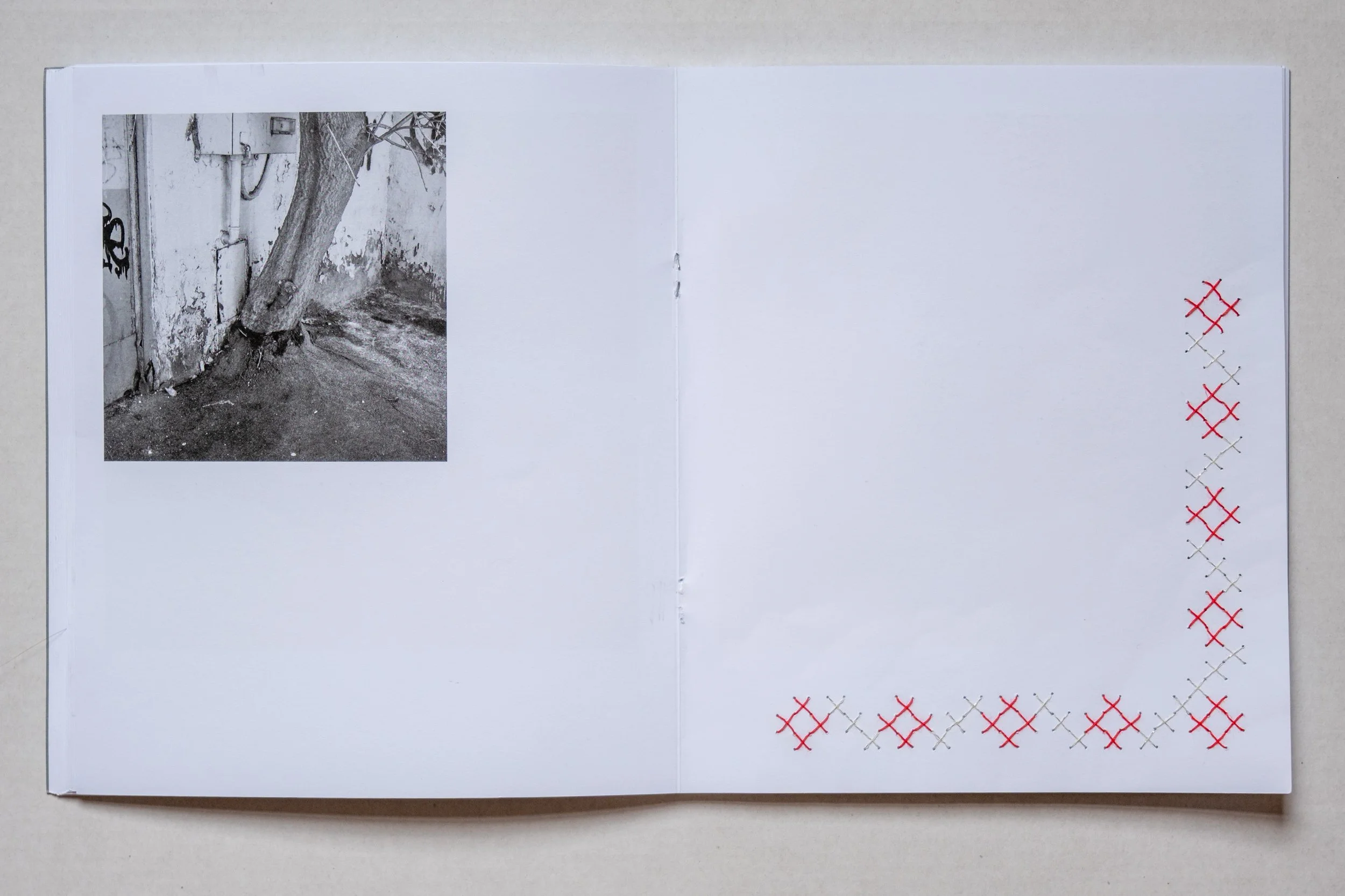 maryna_rasu-plansu_interventions-14.jpg