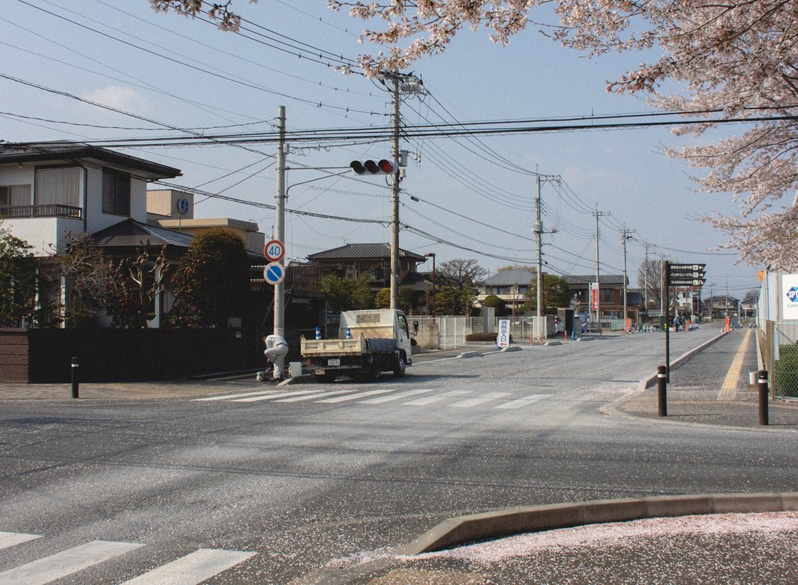A quiet suburban street with cherry blossom trees, utility poles, and crossing guard. There is a small truck and a worker near a crosswalk, and houses lining the street under a partly cloudy sky.