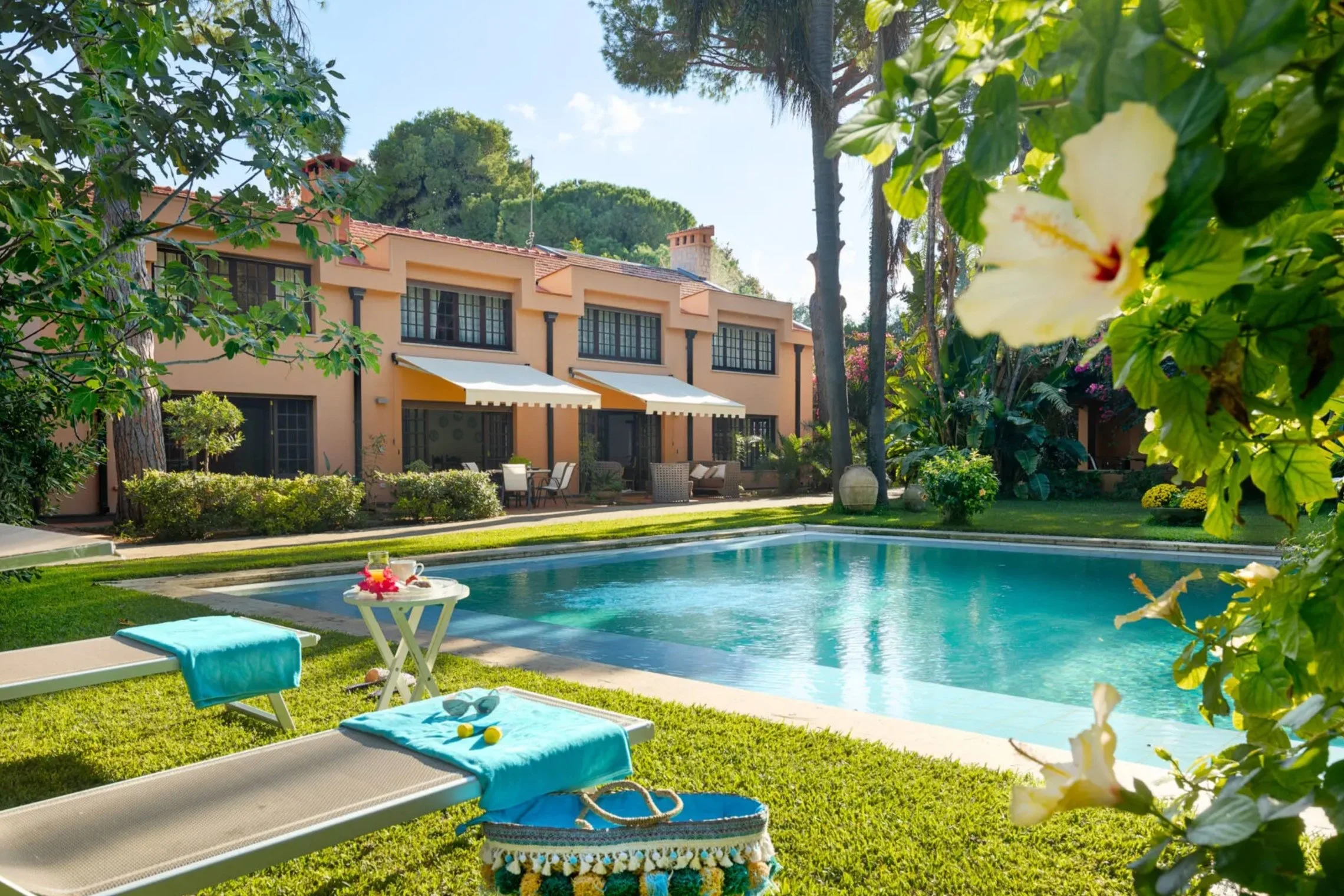 pool view
