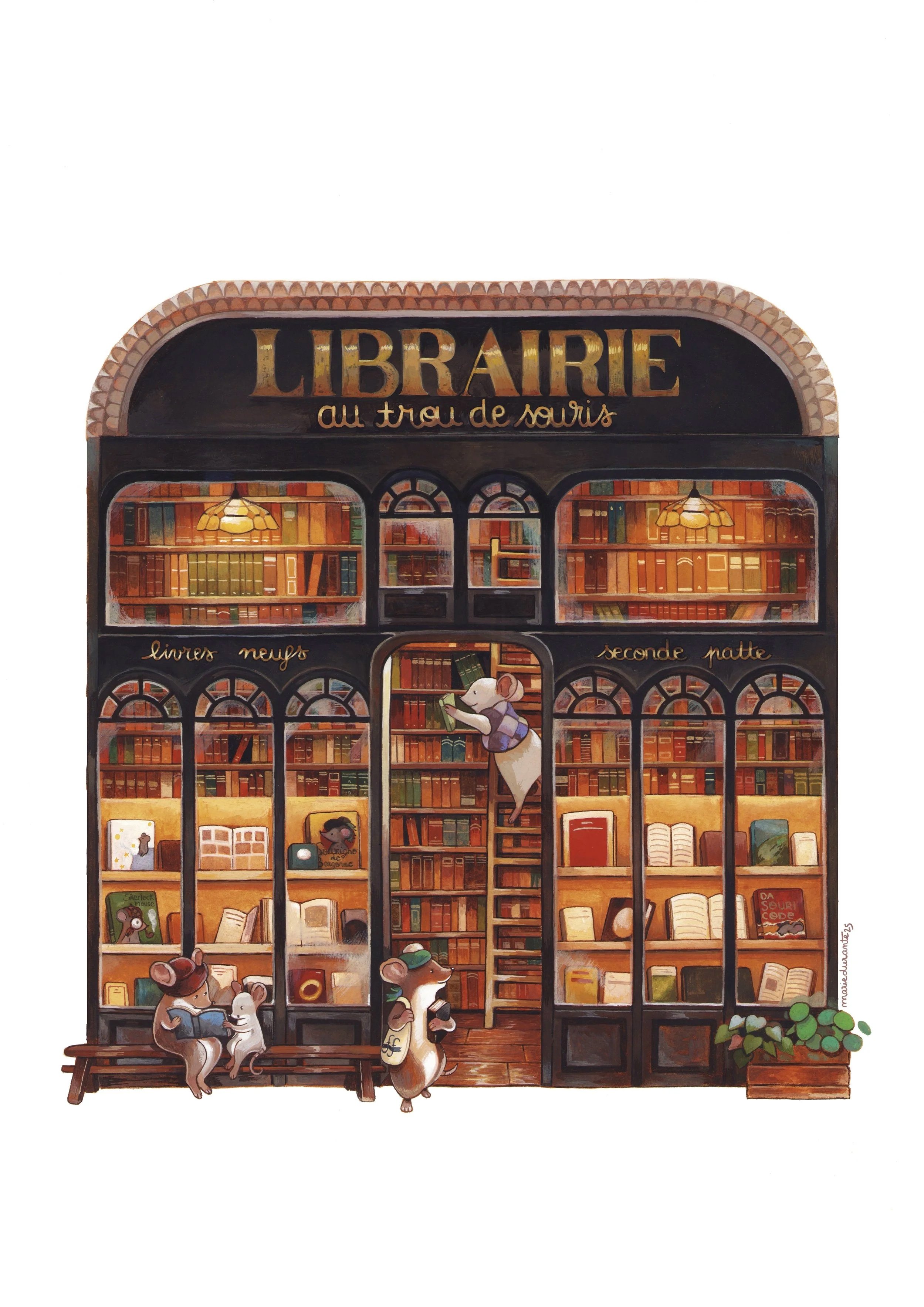 librairie+rvb.jpg