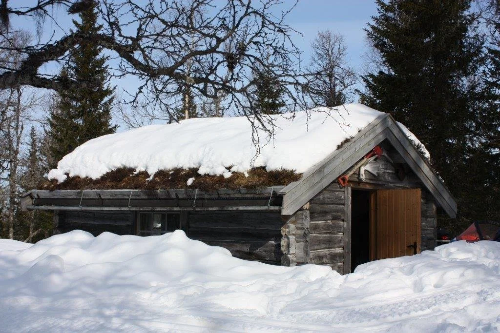 Steinkjer Grandsetern