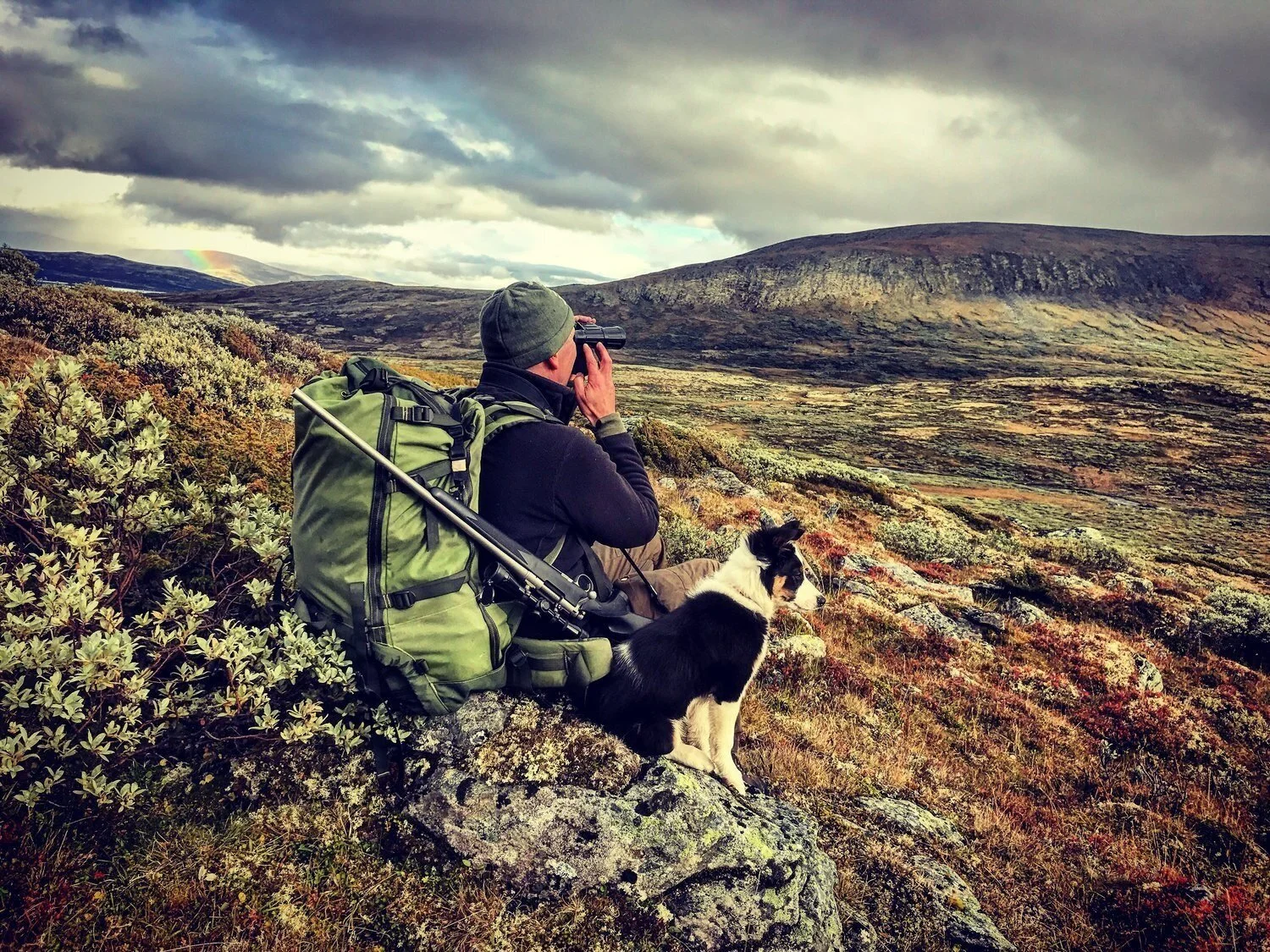 Folldal storviltjakt