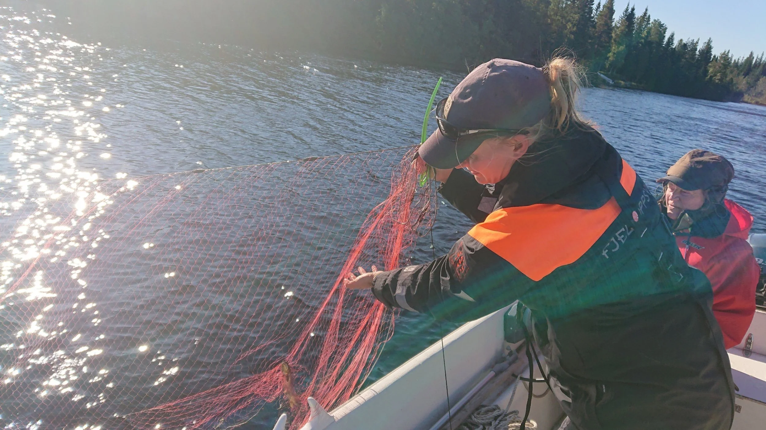 Steinkjer - garnfiske
