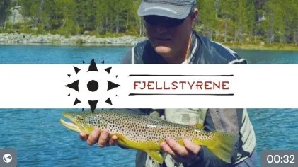 Fiske hos fjellstyrene– tilgjengelig og variert