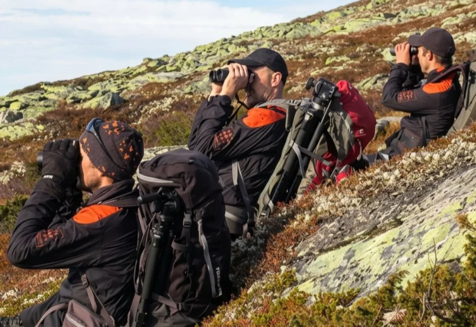 Ledig stilling i Ringebu fjellstyre – bli en del av laget i fjellet