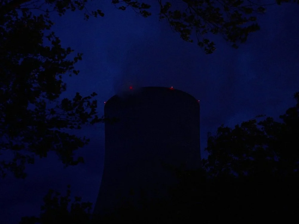 pyrale_45_1000.jpg