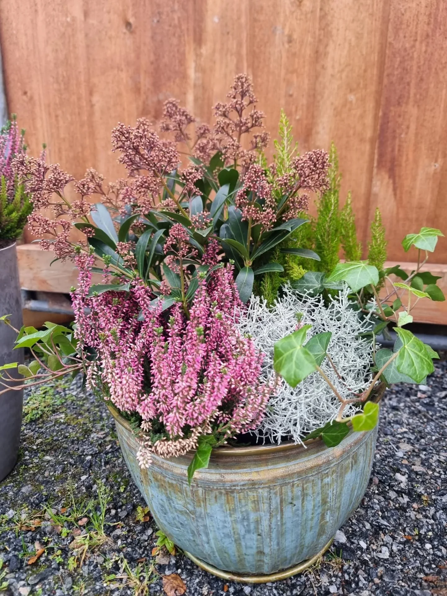 Vi har lagat fina hj&auml;rtan i ljung som du kan l&auml;gga p&aring; graven, blir till och komma lite kransar ocks&aring;🍂
Sen har vi n&aring;gra f&auml;rdiga krukor som &auml;r planterad och klar f&ouml;r dig som bara snabbt vill ordna n&aring;got